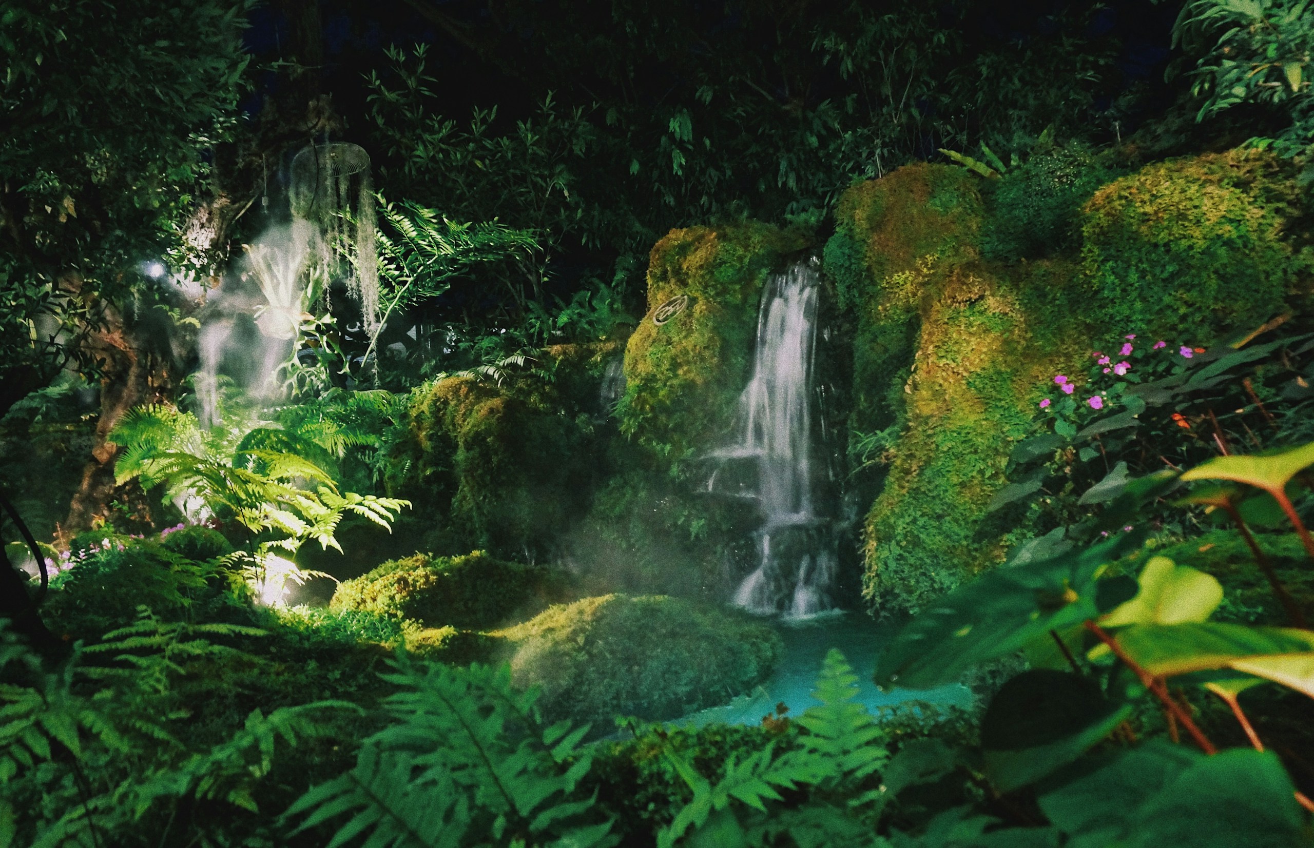 Lush green garden with waterfall and ferns HD Wallpaper