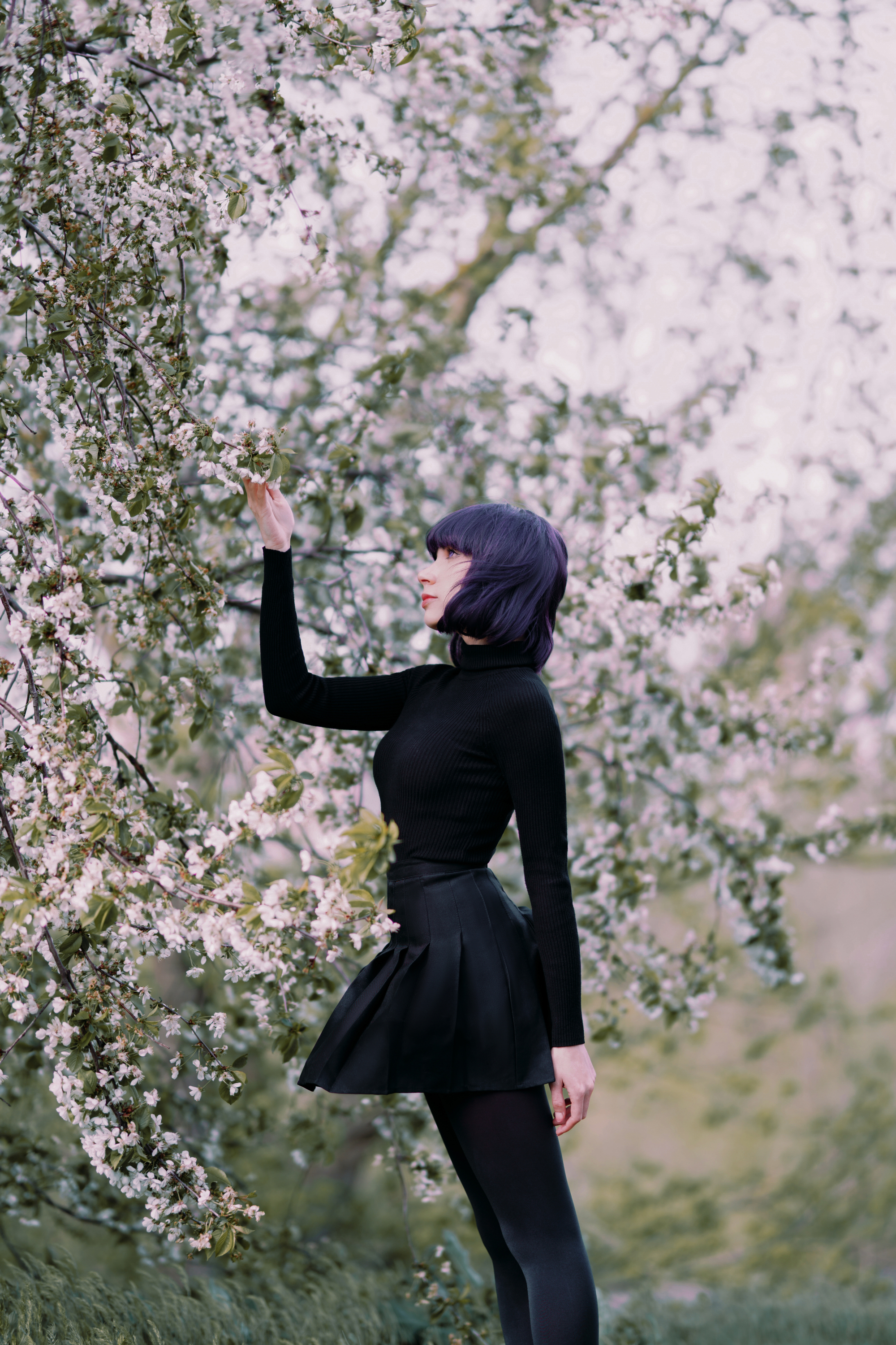 Woman with purple hair in black outfit by blooming tree HD Wallpaper