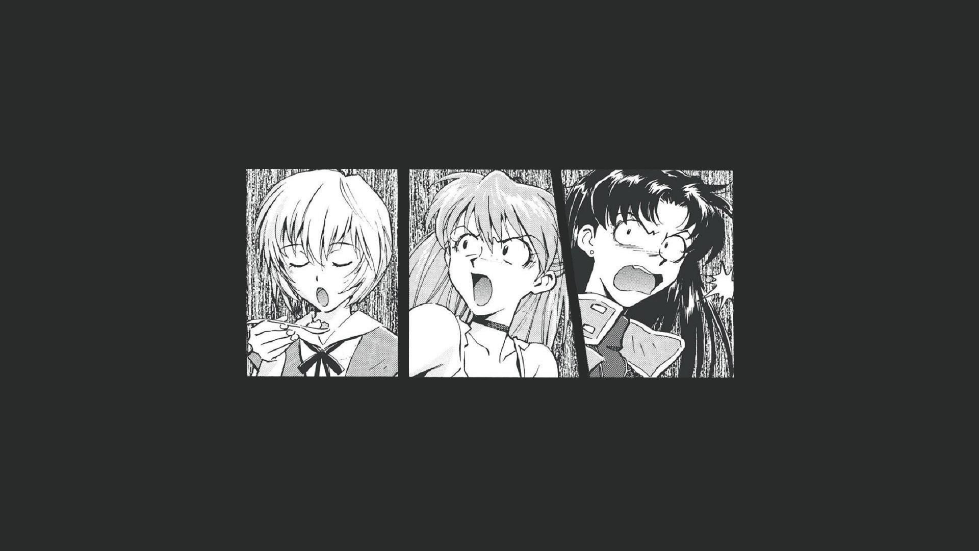 Rei, Asuka, and Misato from Neon Genesis Evangelion HD Wallpaper