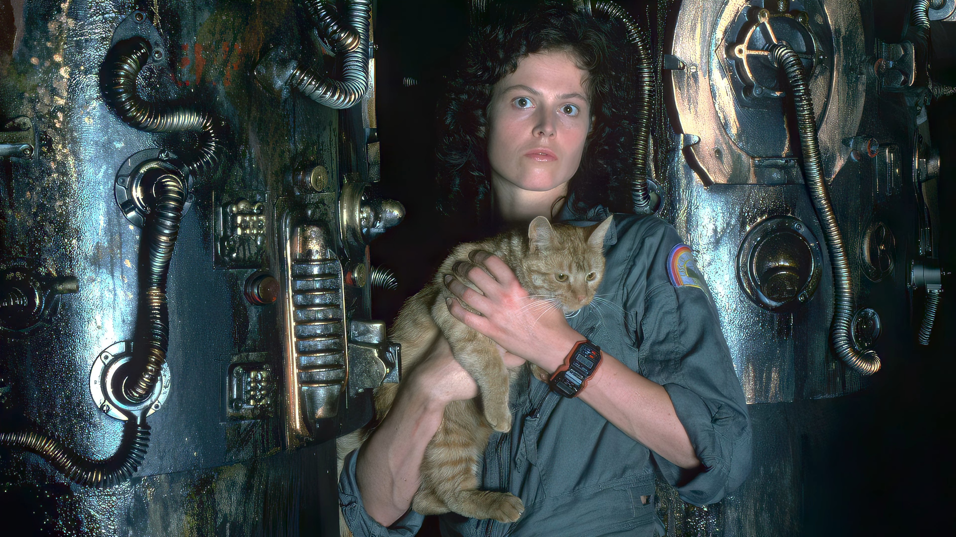 Ellen Ripley holding Jonesy the cat in Alien HD Wallpaper