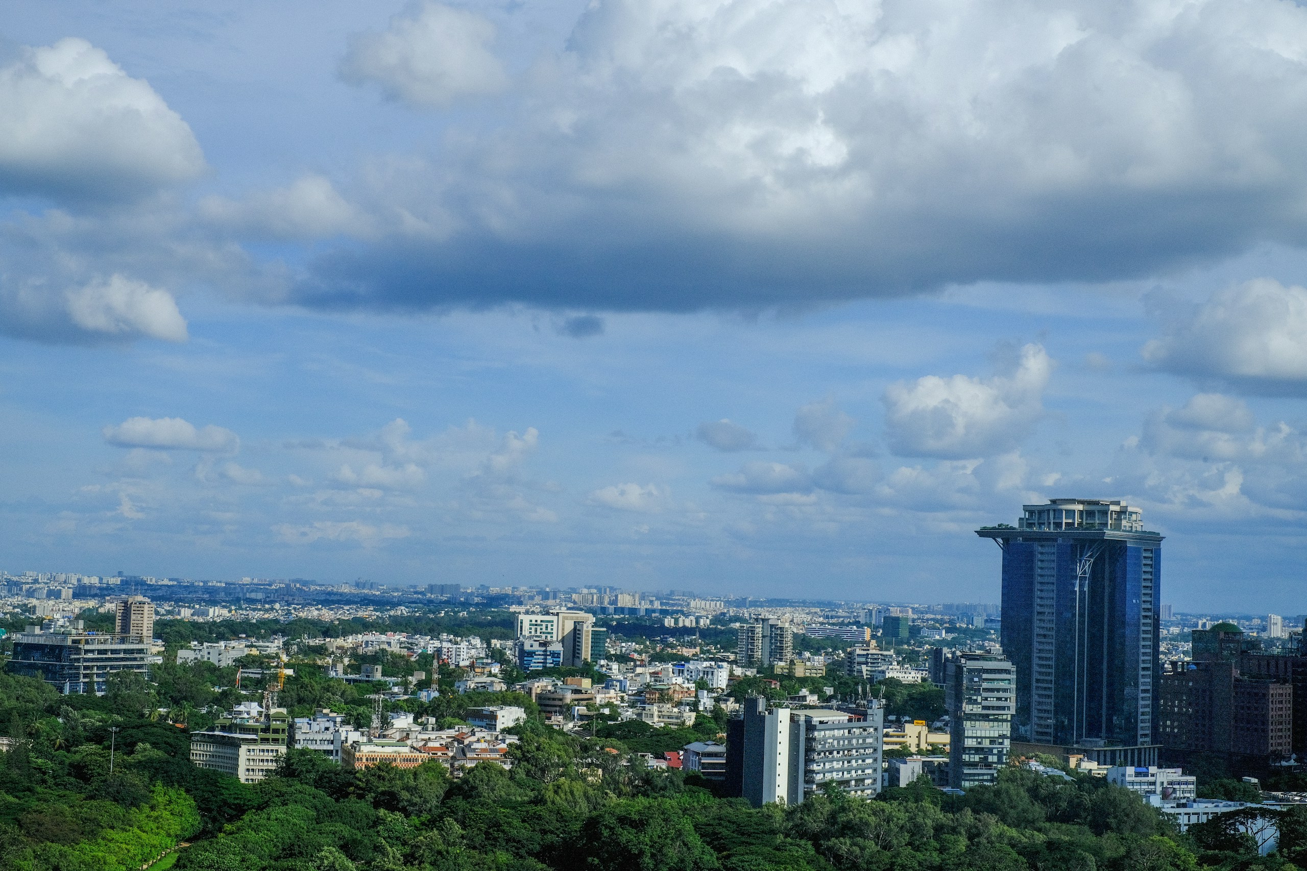 City skyline with skyscrapers and green trees HD Wallpaper