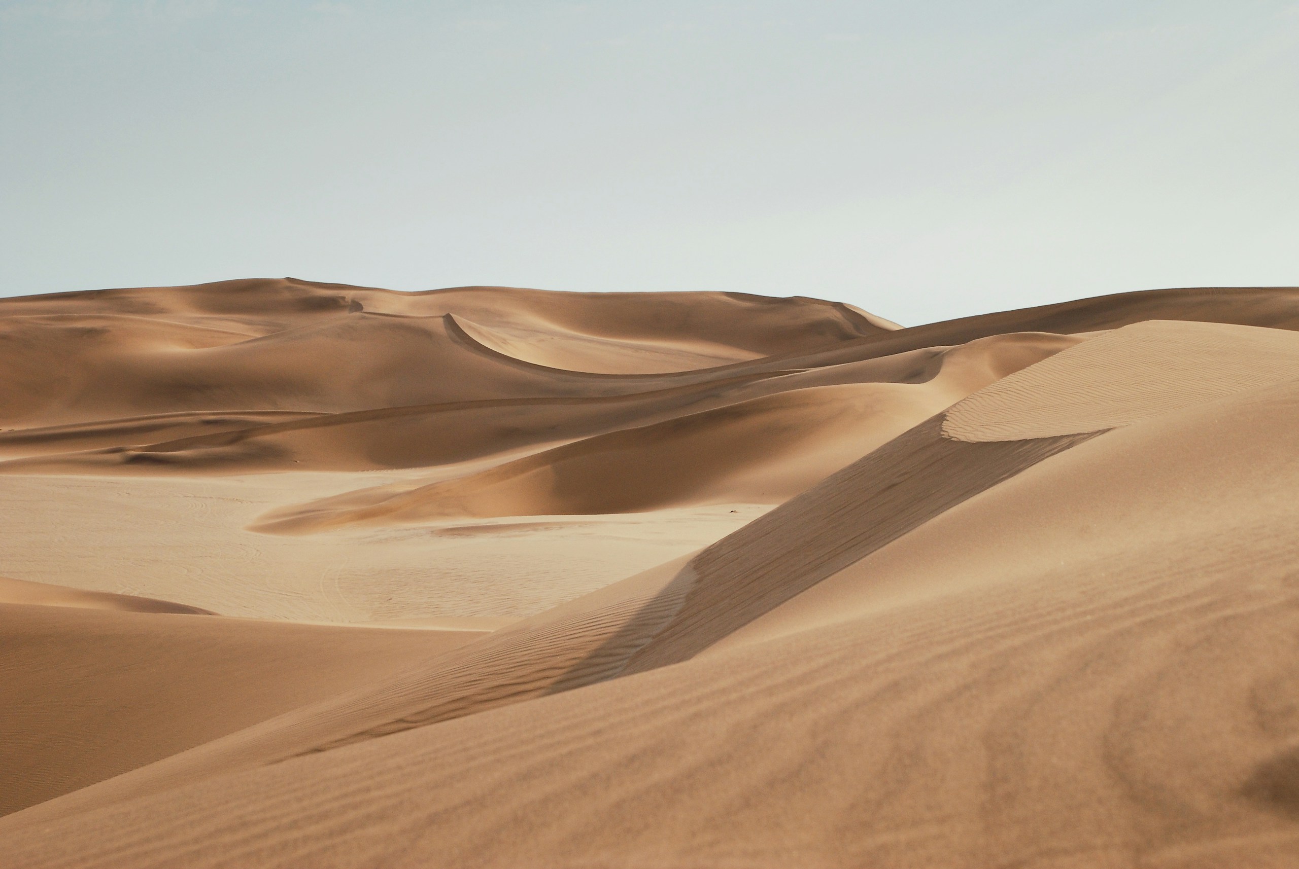 Pristine sand dunes in the Namib Desert HD Wallpaper