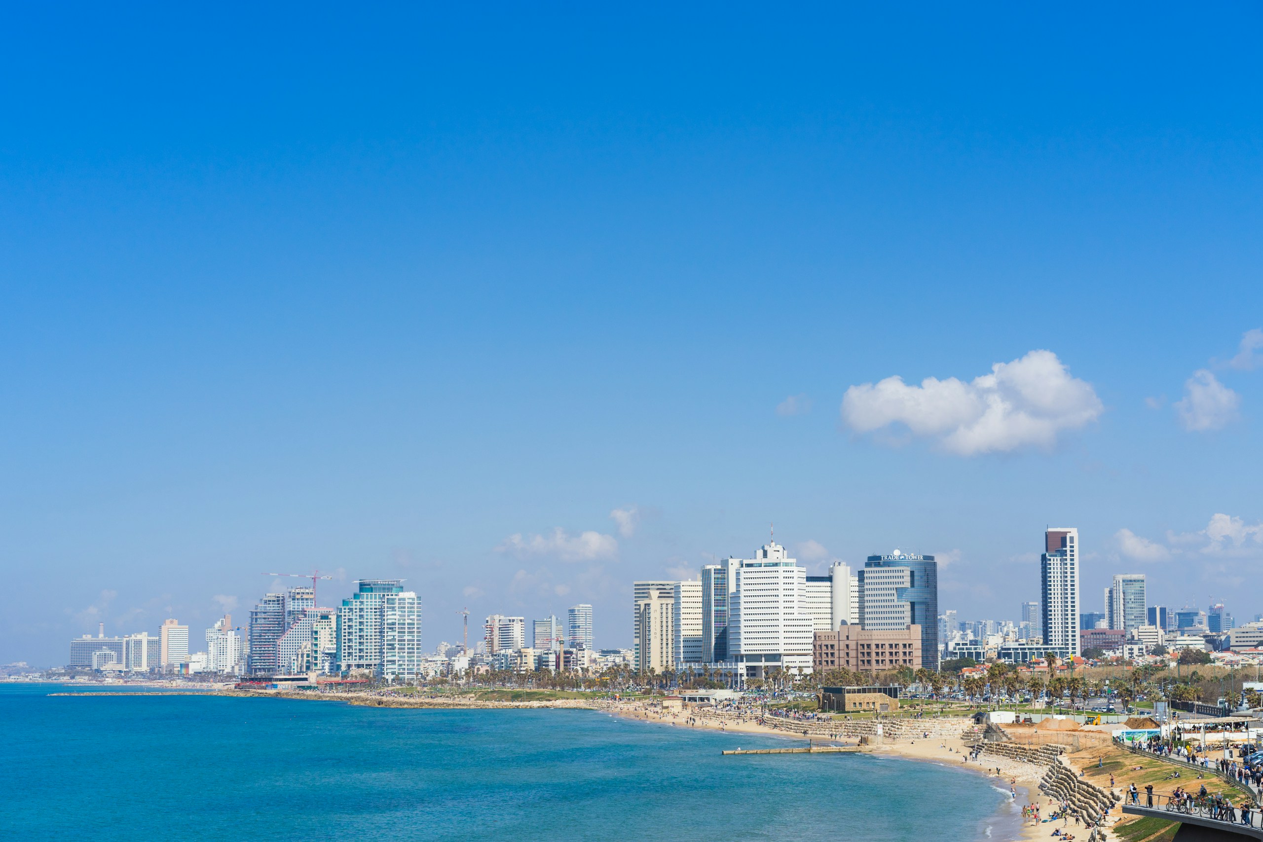 Coastal City Skyline Along Blue Sea and Beach HD Wallpaper