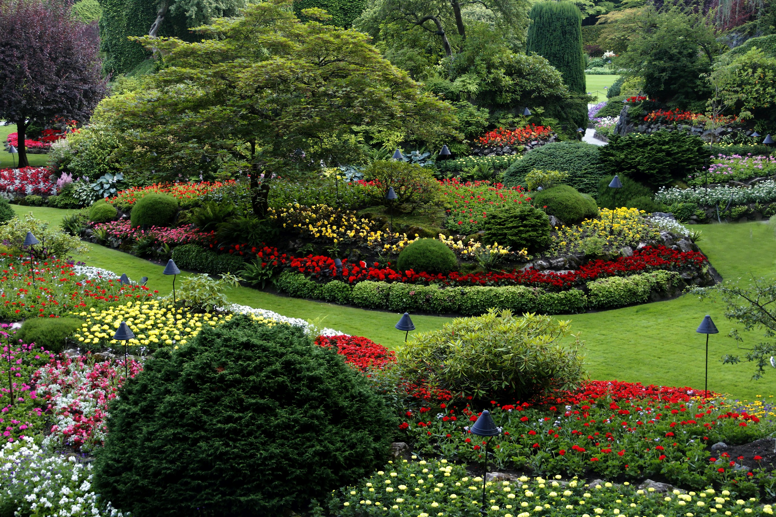 Lush Flower Beds at Butchart Gardens HD Wallpaper