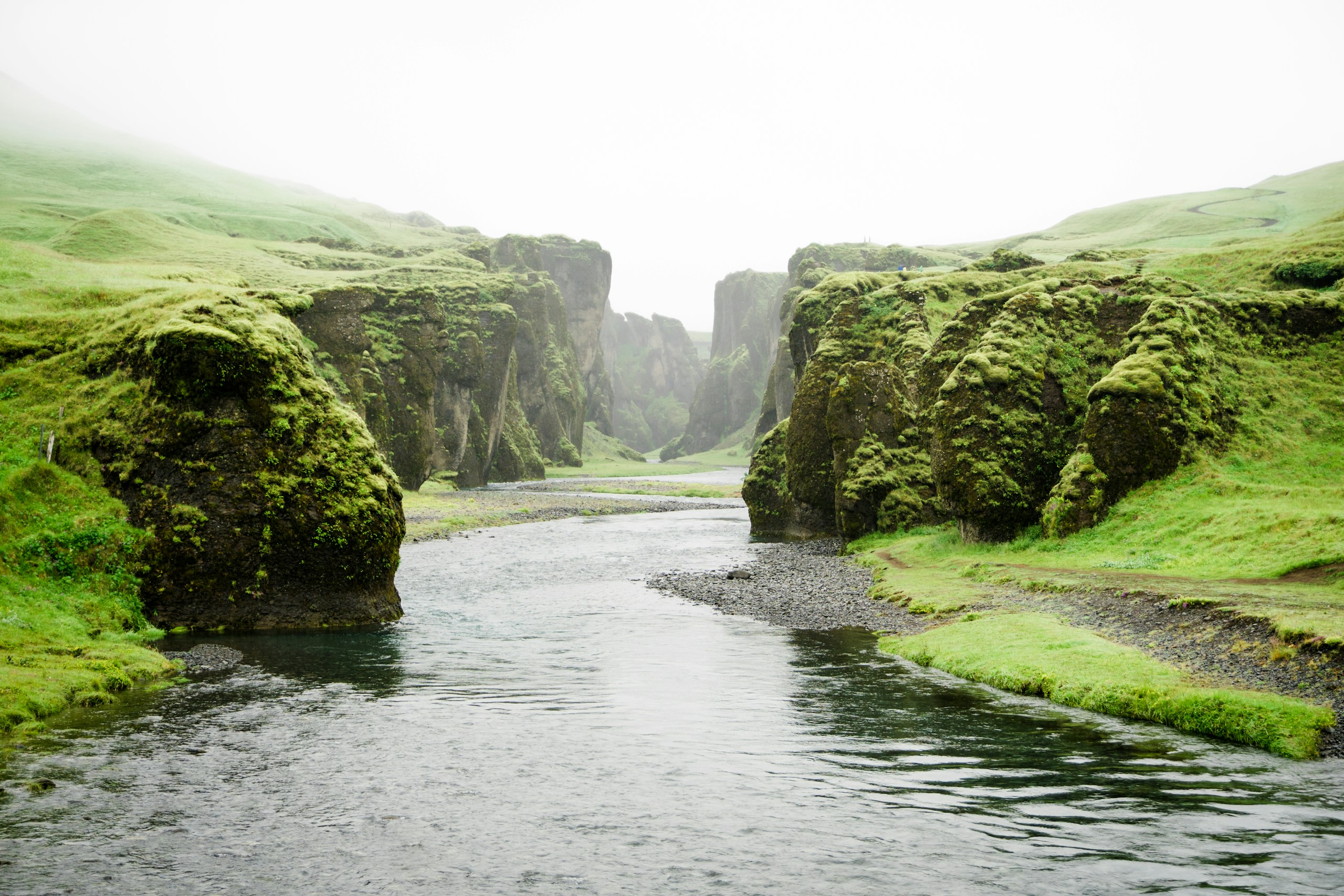 River flowing through mossy green canyon HD Wallpaper