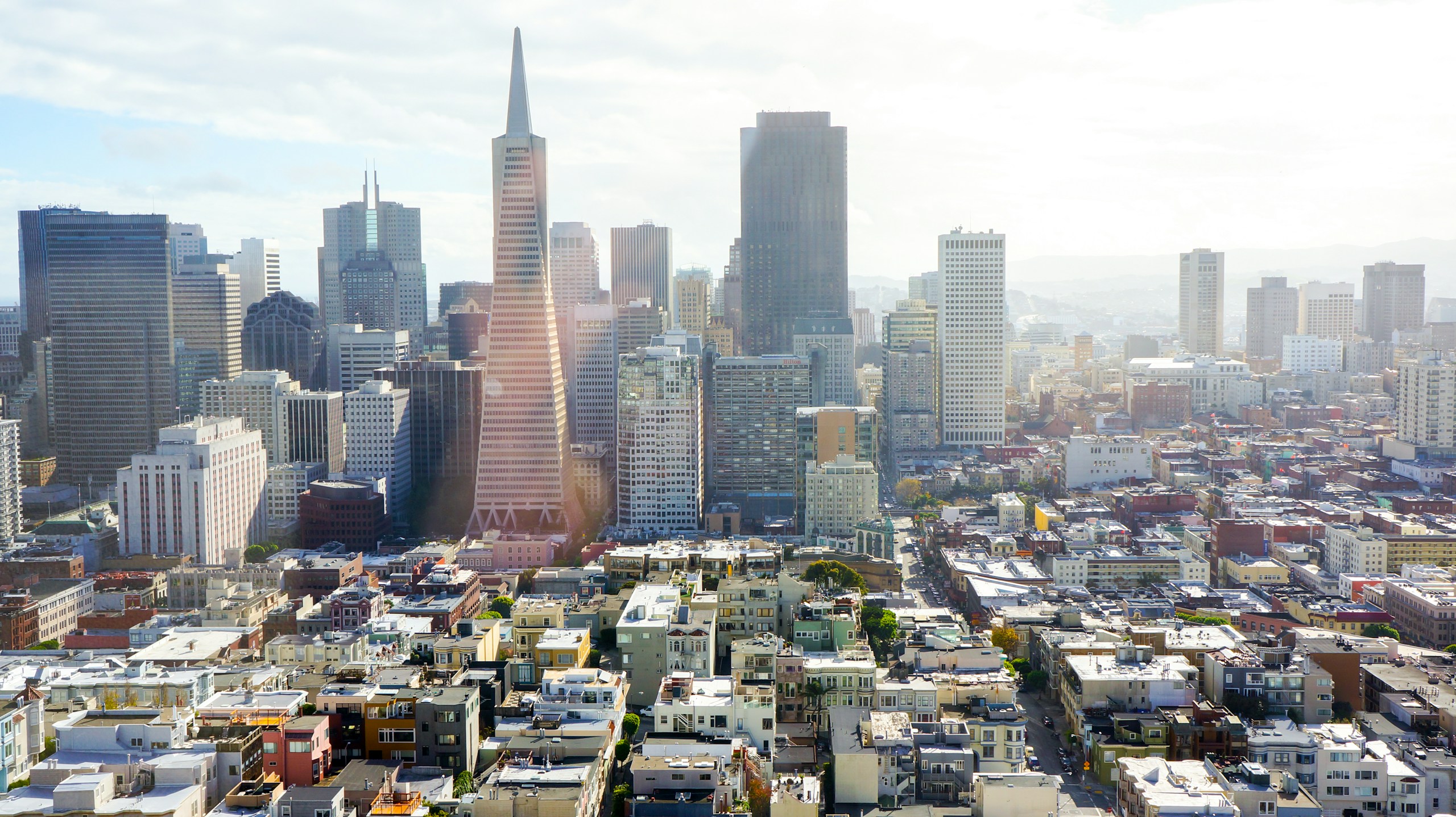 Aerial View of San Francisco Skyline with Transamerica Pyramid HD Wallpaper