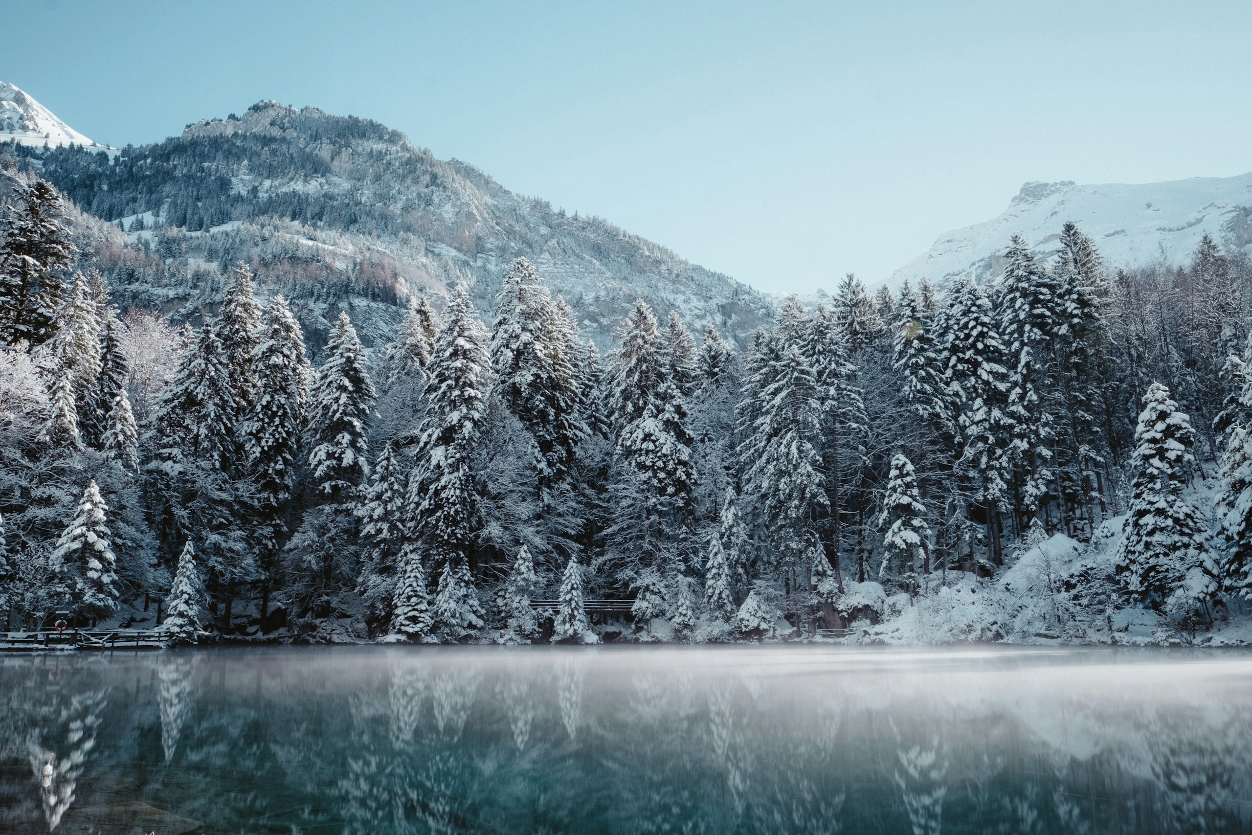 Snowy forest and mountains reflecting in a calm lake HD Wallpaper