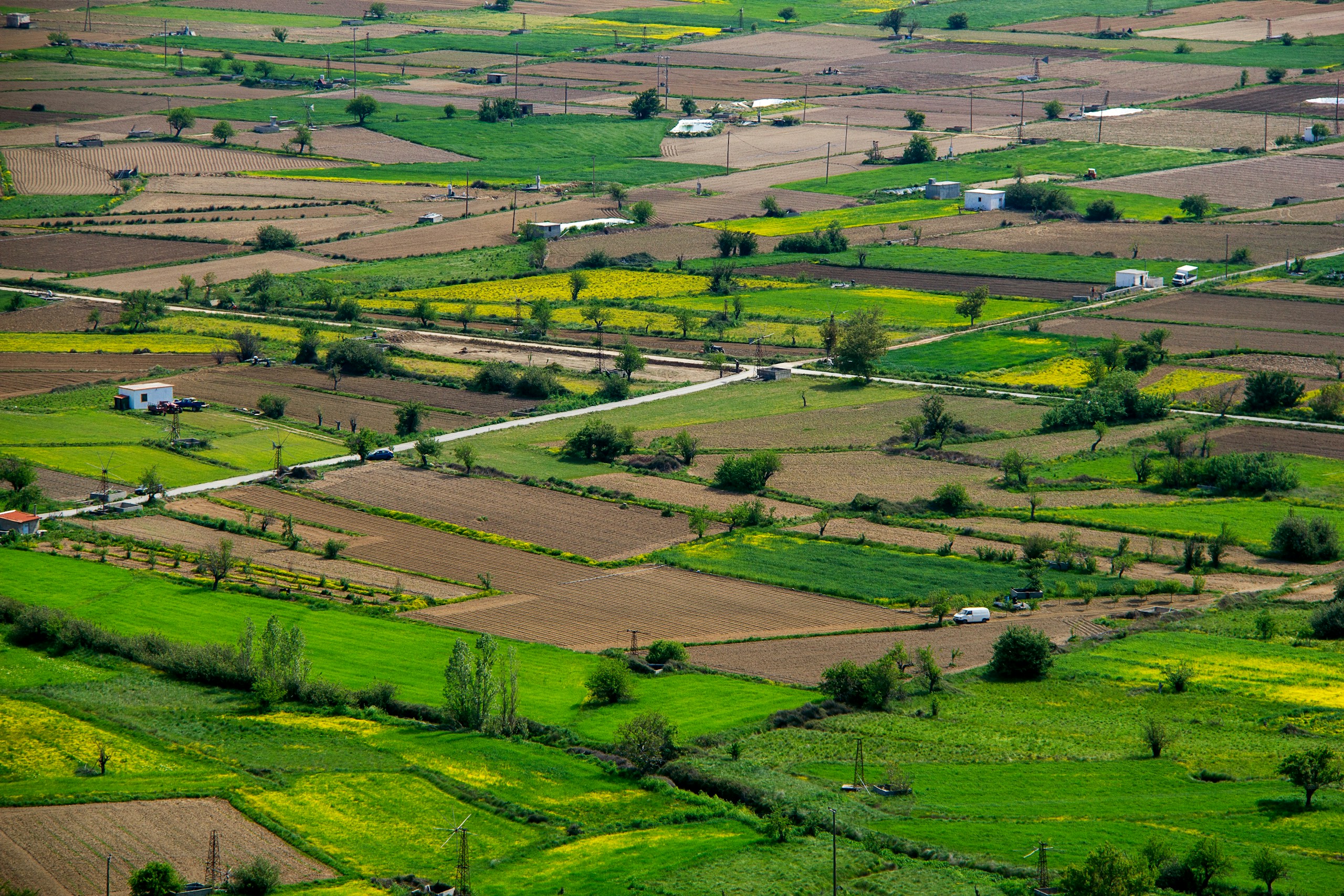 Aerial view of green and brown agricultural fields HD Wallpaper