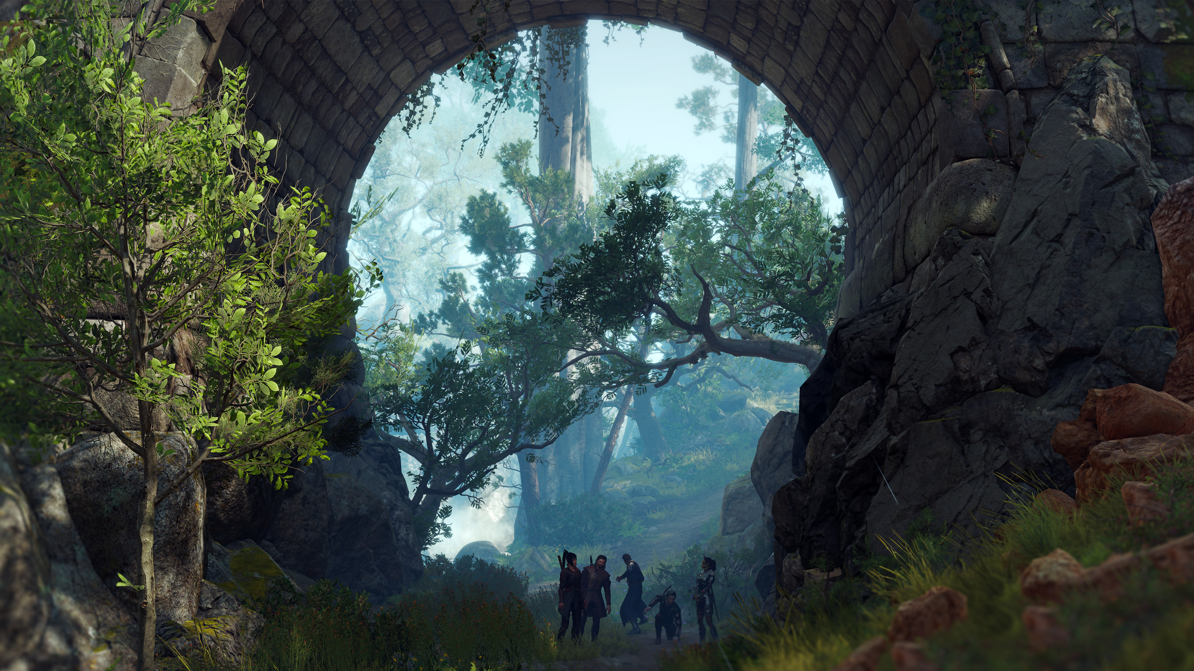 Adventurers in Arlathan Forest from Dragon Age The Veilguard HD Wallpaper