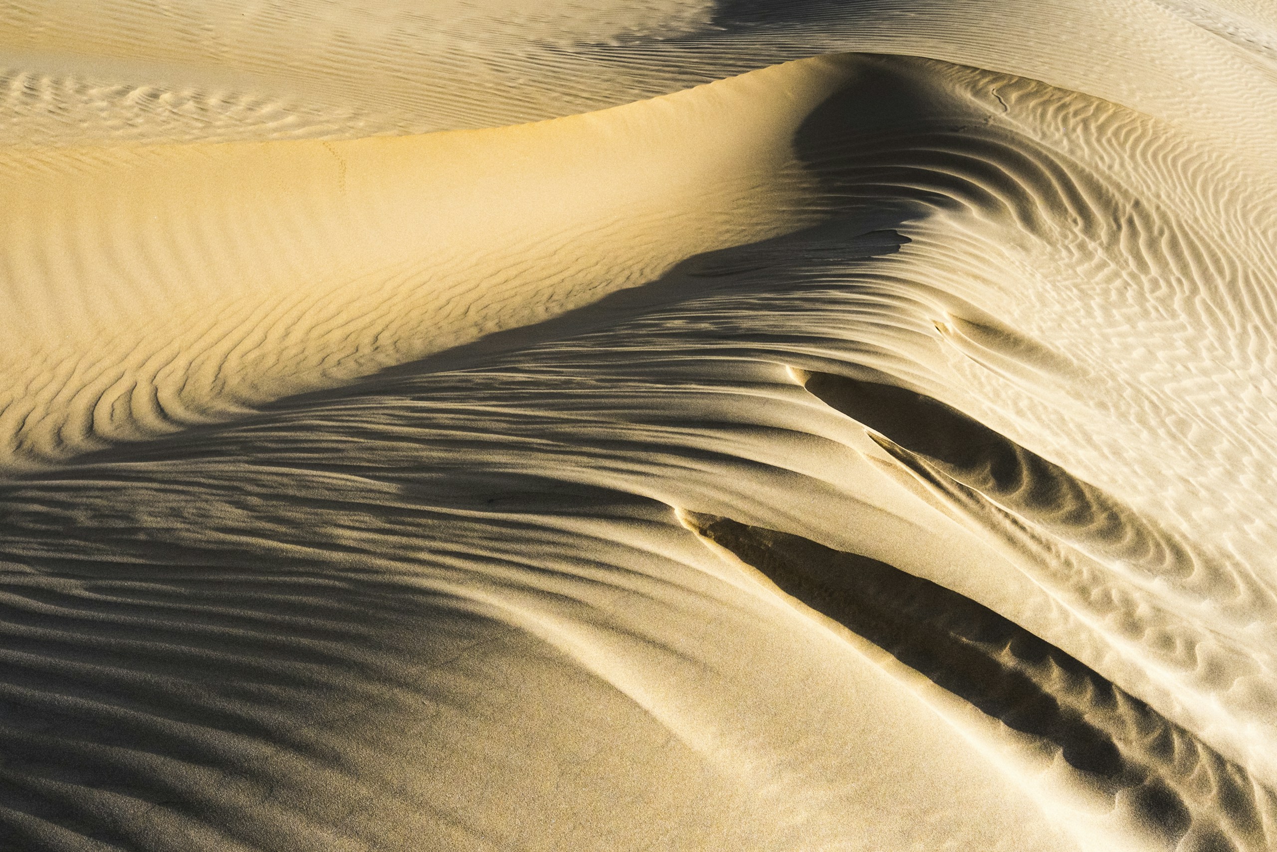 Wind-swept sand dunes with ripples and shadows HD Wallpaper
