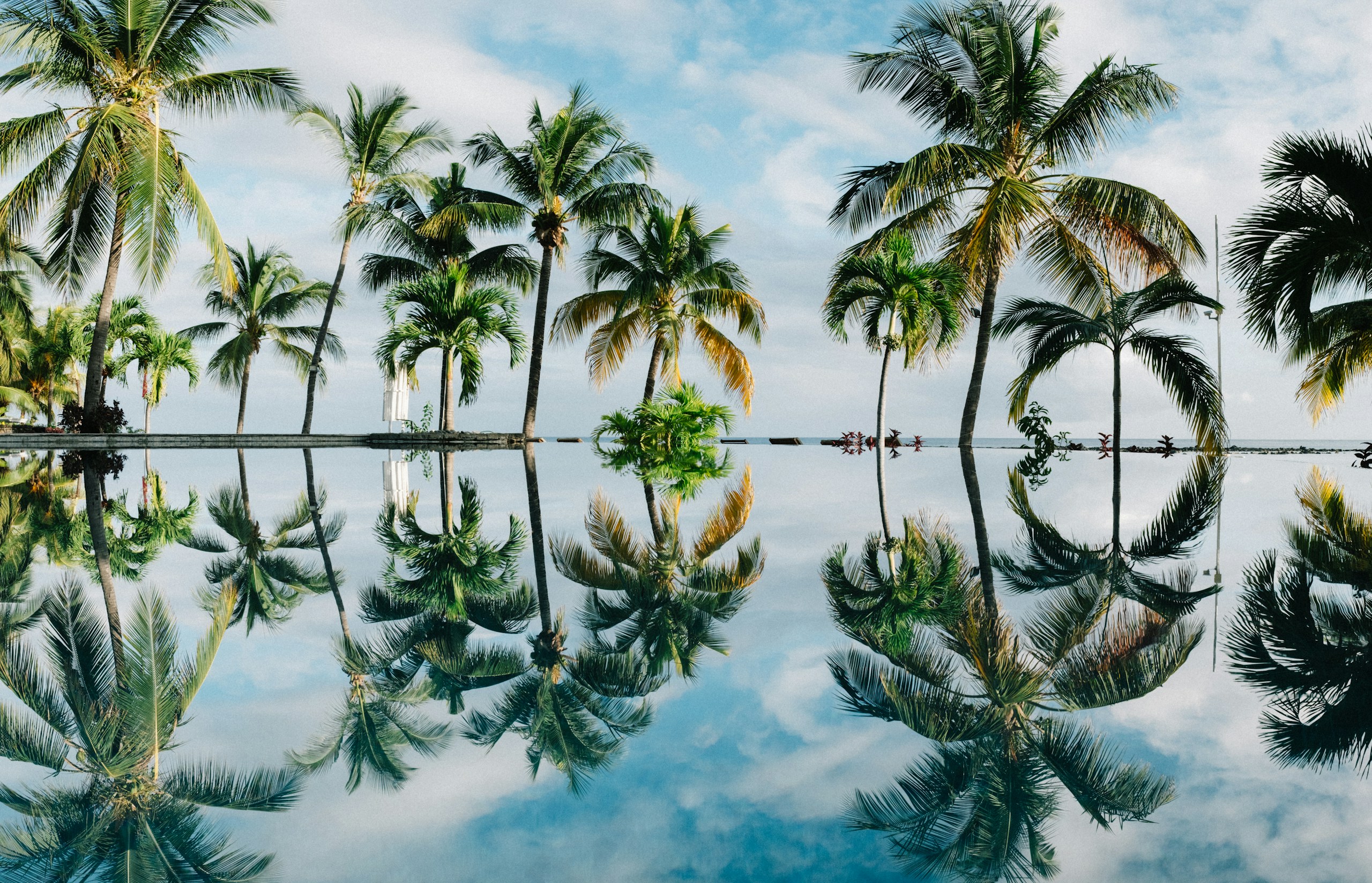 Perfect Reflection of Palm Trees in Still Water HD Wallpaper