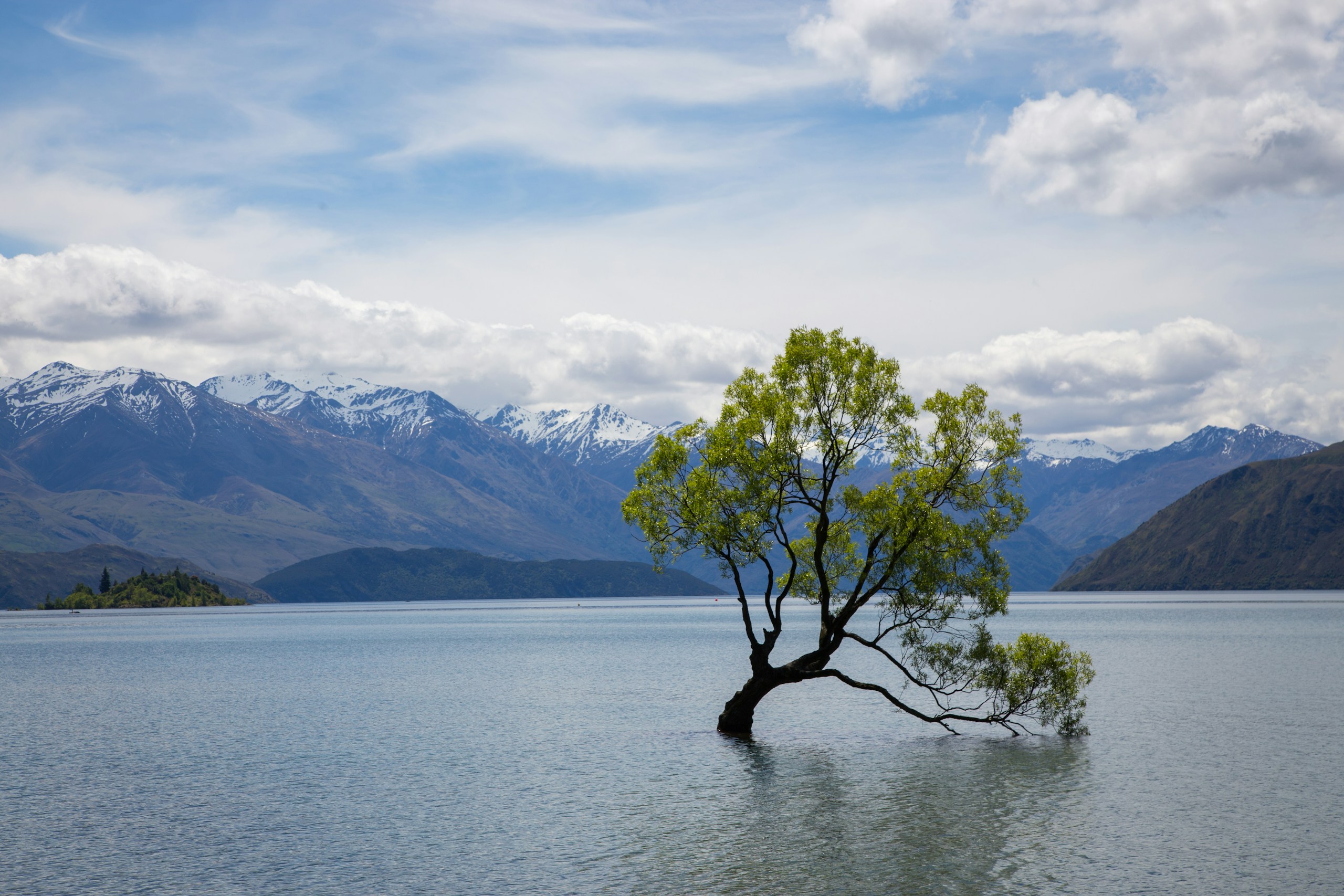 Lone Willow Tree in Lake Wanaka with Mountains HD Wallpaper