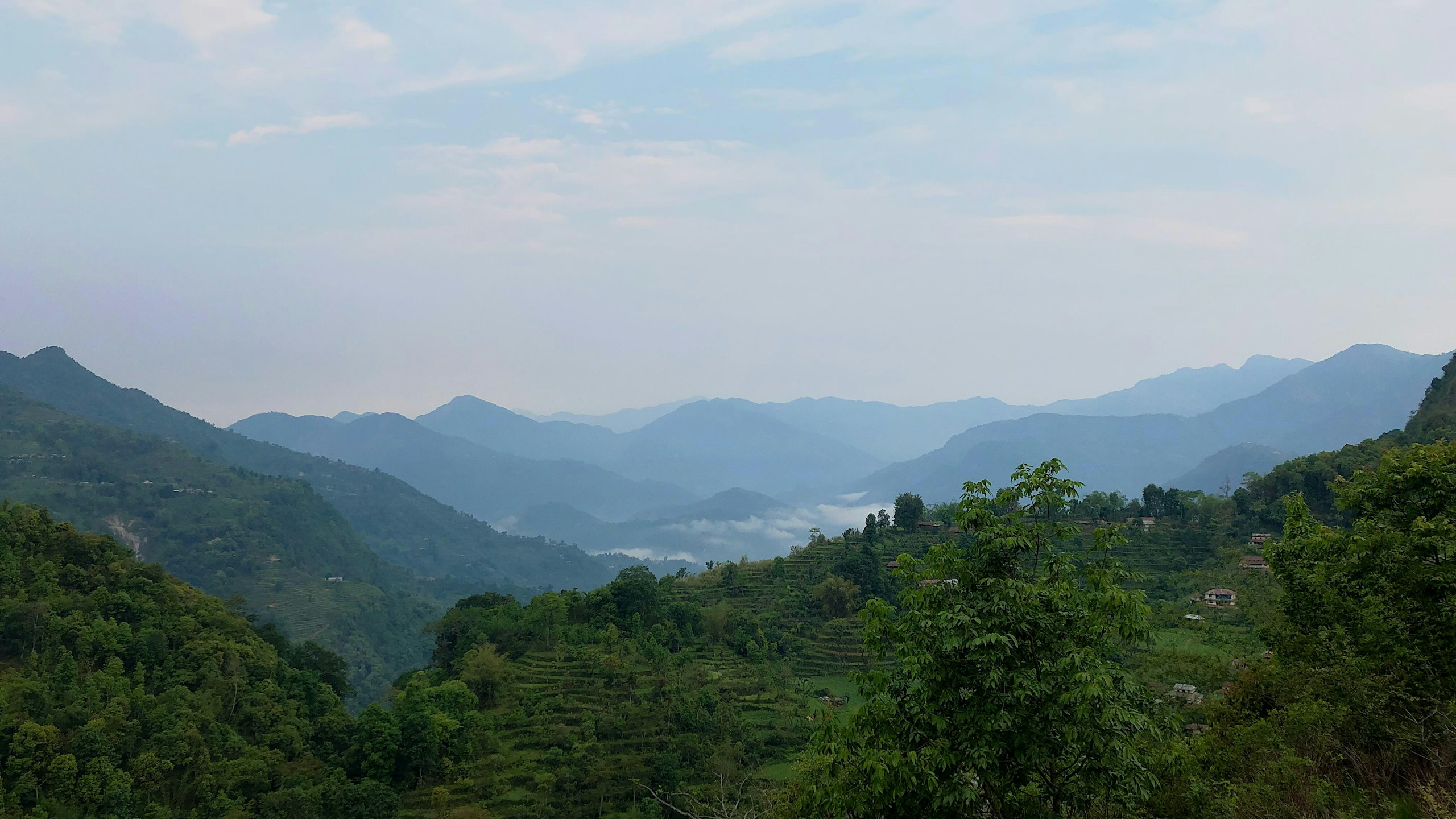 Lush Green Terraced Hills and Misty Mountains HD Wallpaper