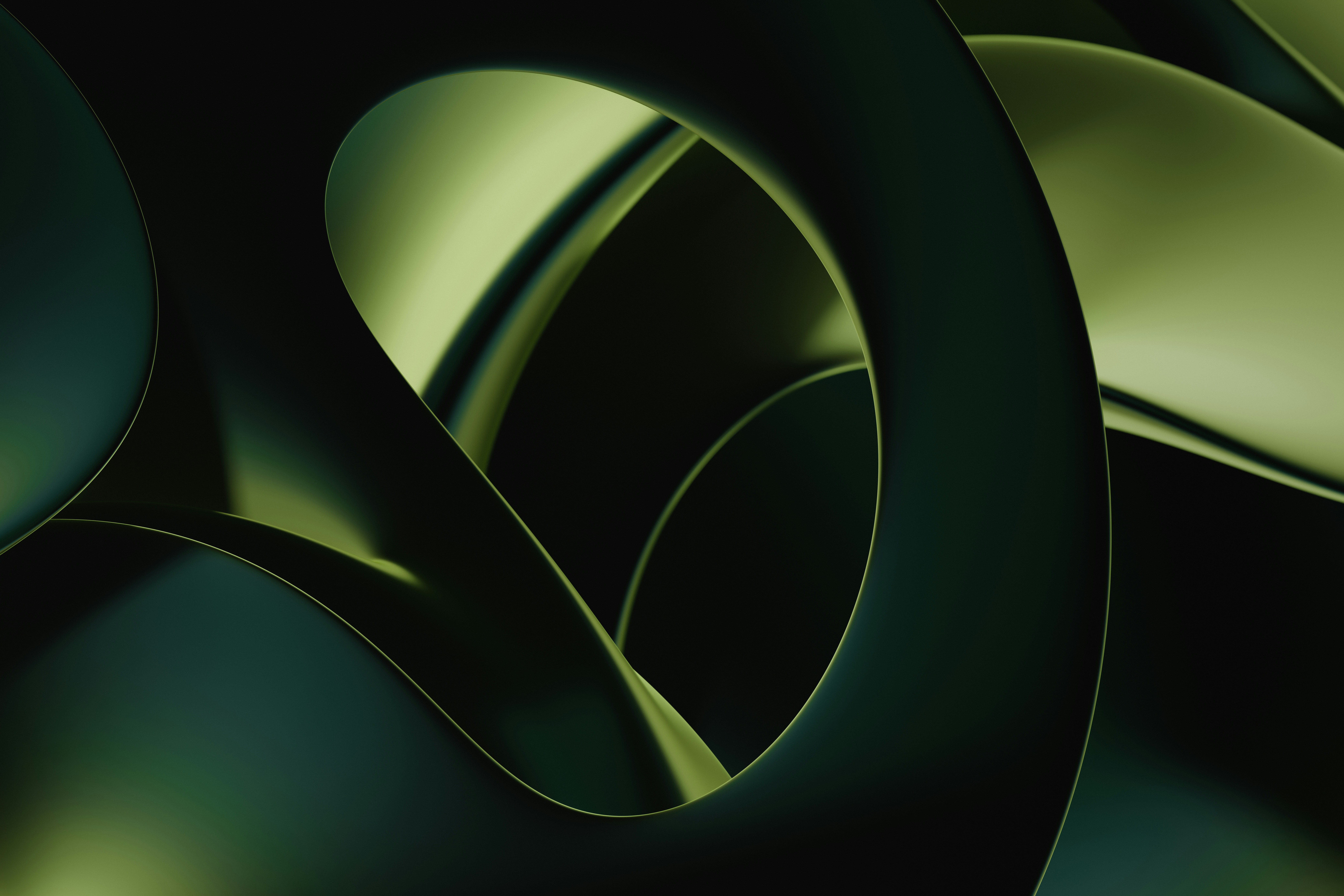 Smooth Abstract Dark Green Organic Curves HD Wallpaper