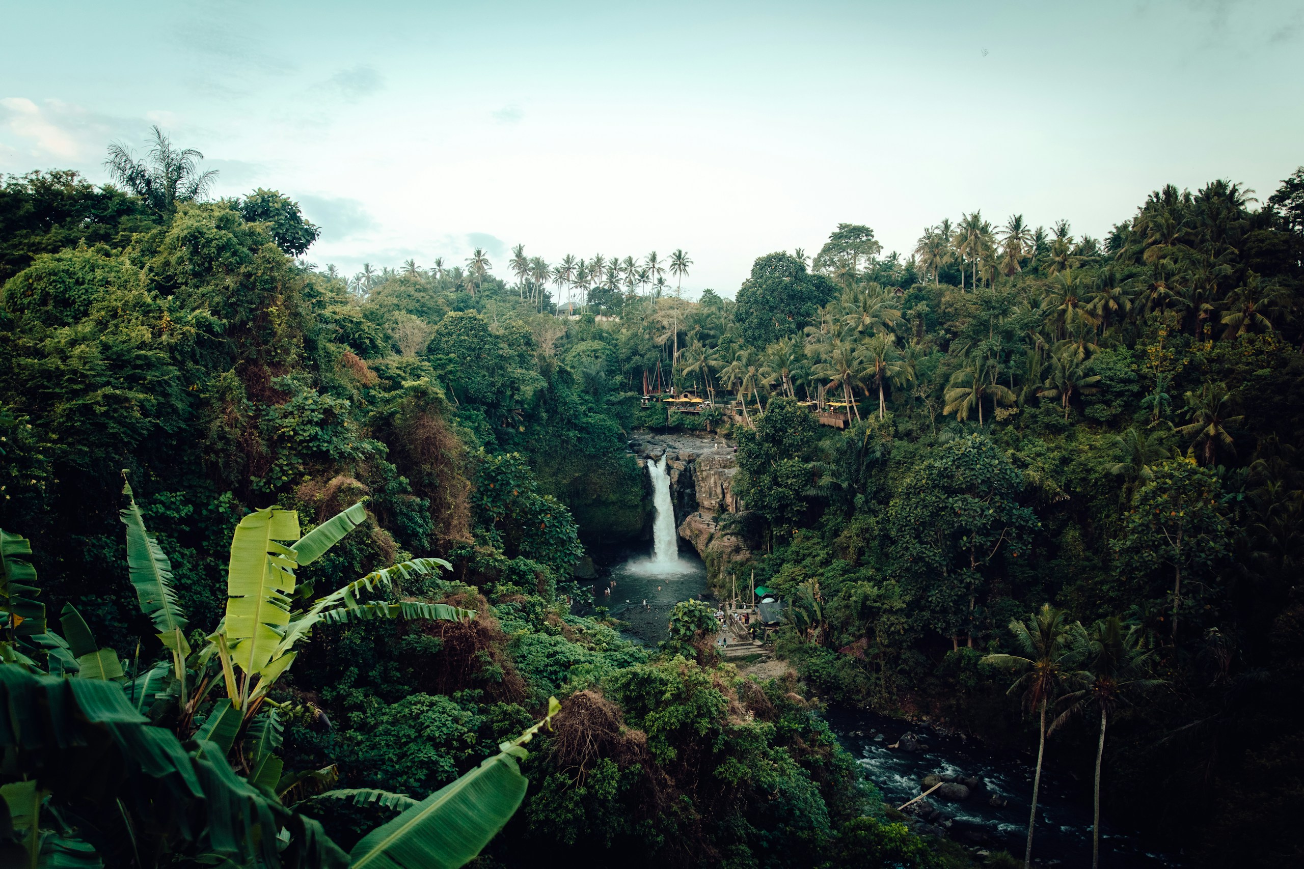 Tropical waterfall surrounded by lush green jungle HD Wallpaper