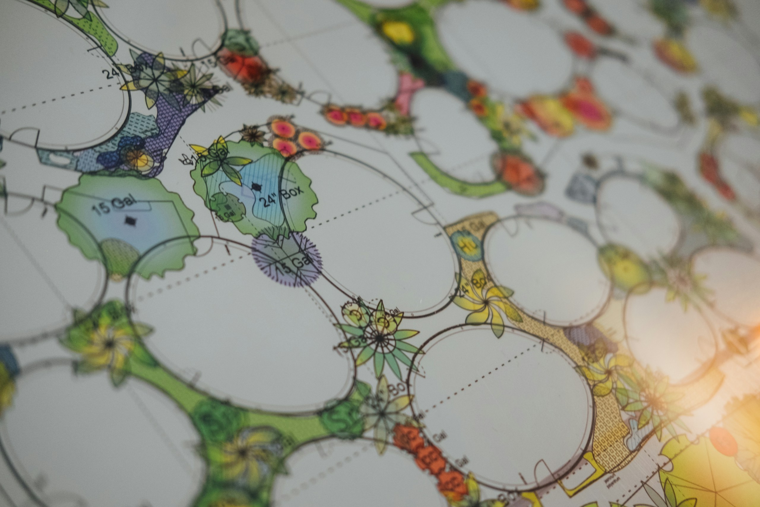 Landscape Architecture Plan with Colorful Plant Symbols HD Wallpaper