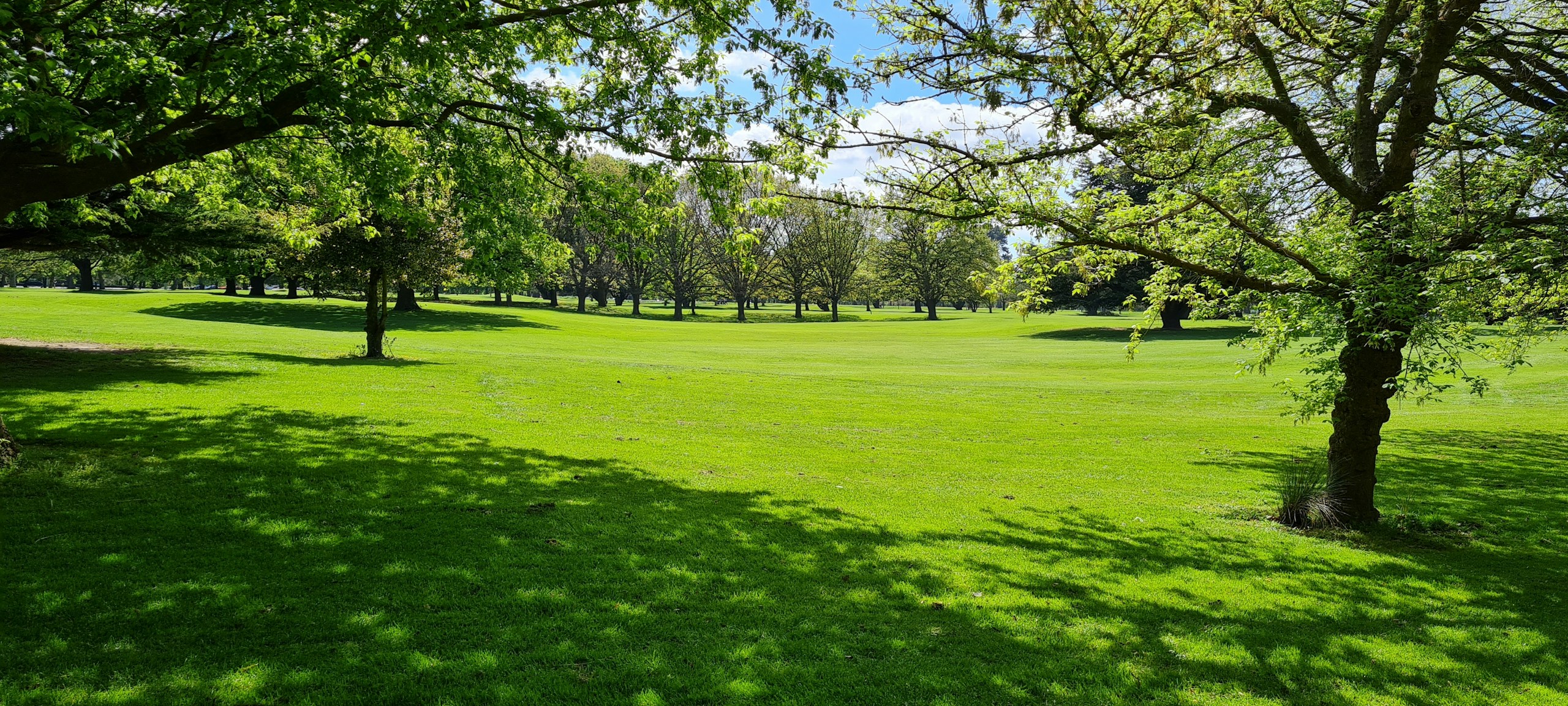 Lush Green Grassy Field with Trees on Sunny Day HD Wallpaper
