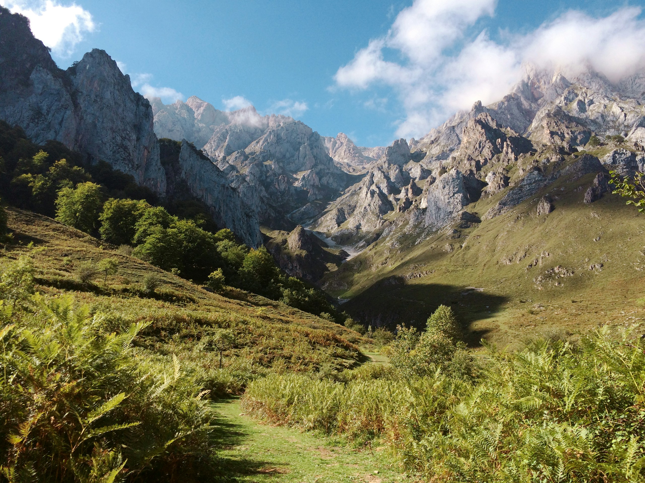 Mountain range with green grassy valley and rocky peaks HD Wallpaper