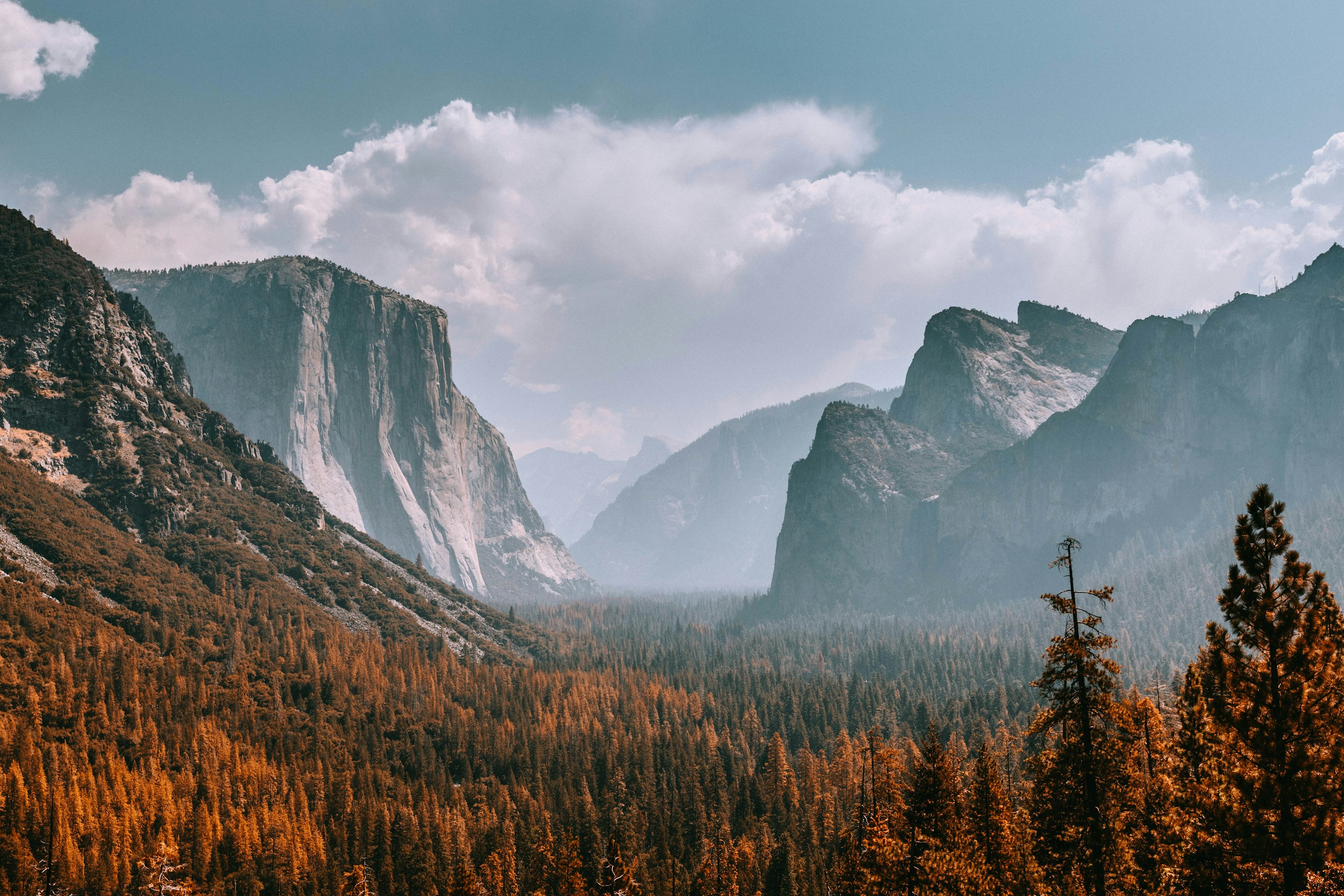 Yosemite Valley landscape with El Capitan and pine forest HD Wallpaper