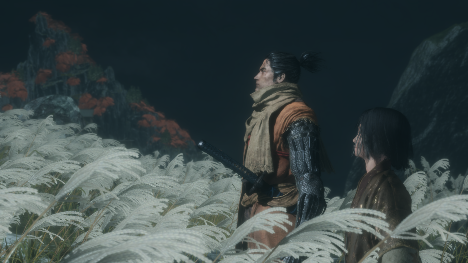 Wolf and Kuro in Sekiro Shadows Die Twice HD Wallpaper