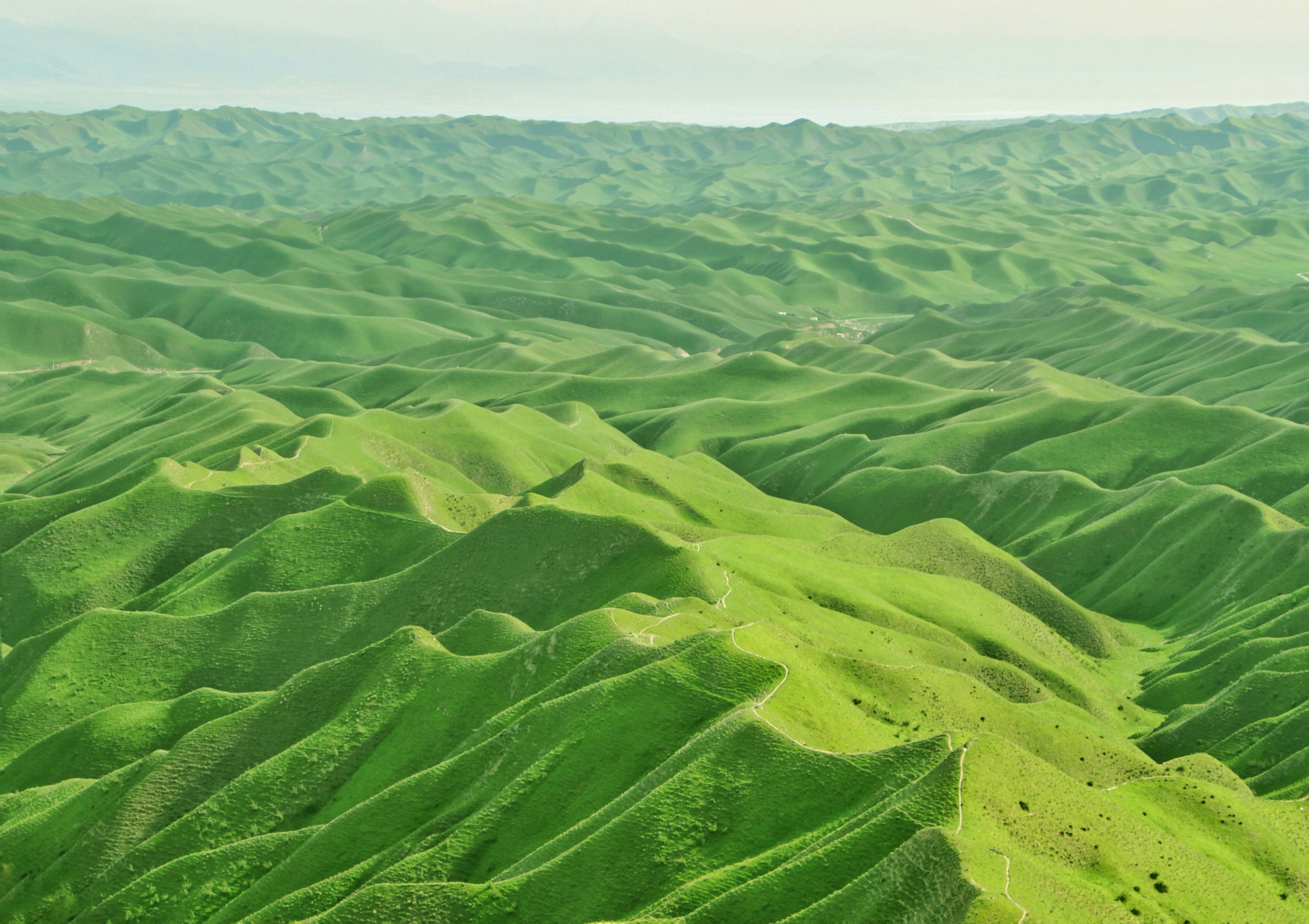 Lush Green Rolling Hills Landscape HD Wallpaper