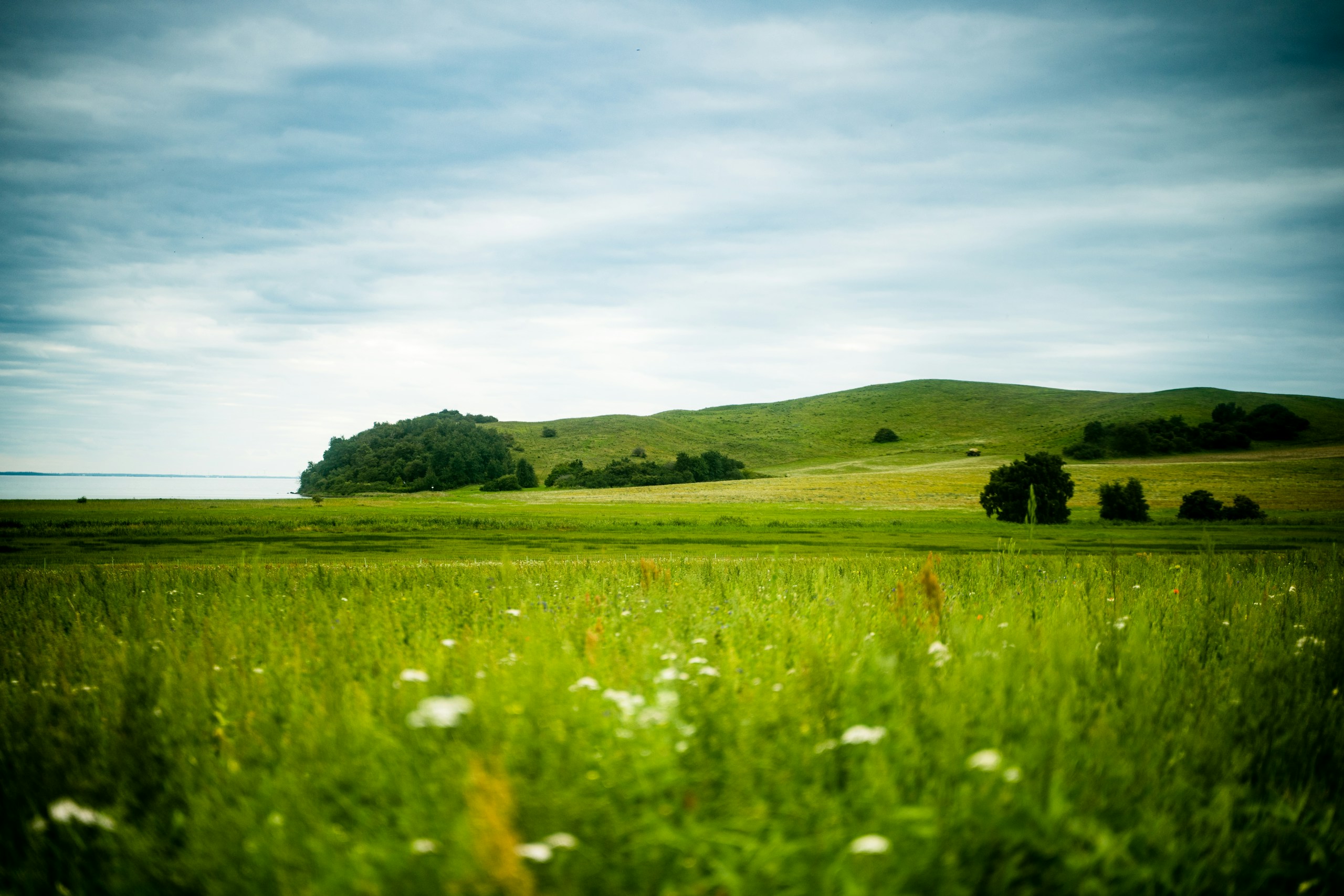 Green grassy field with rolling hills and cloudy sky HD Wallpaper