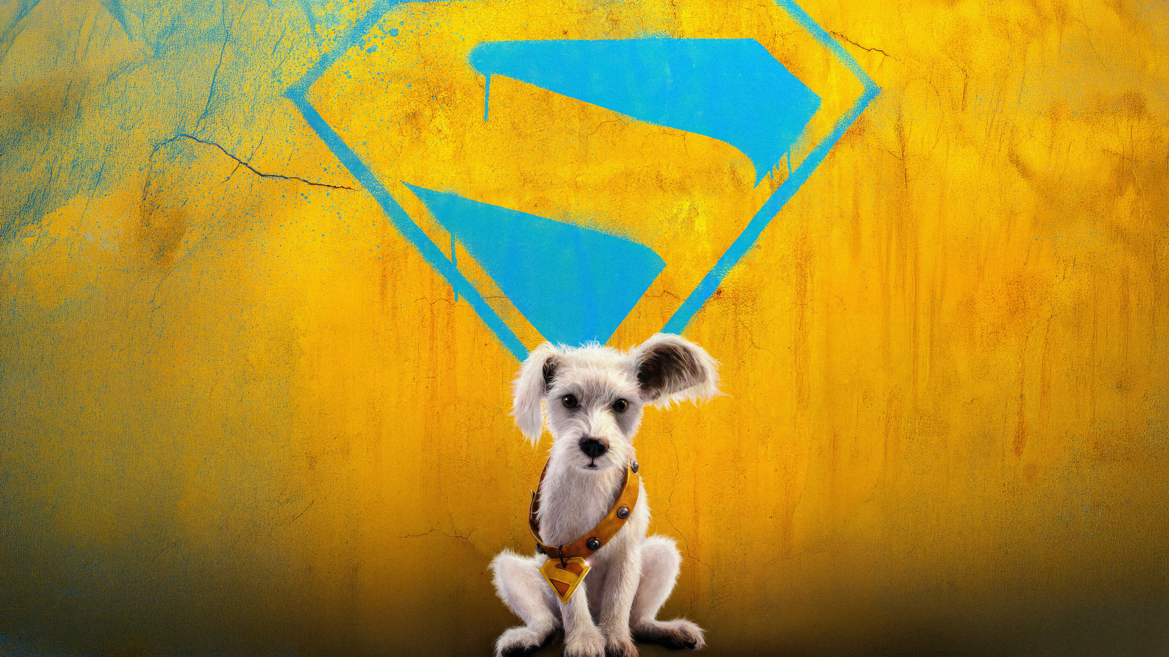 Krypto the Superdog in DC's Supergirl HD Wallpaper