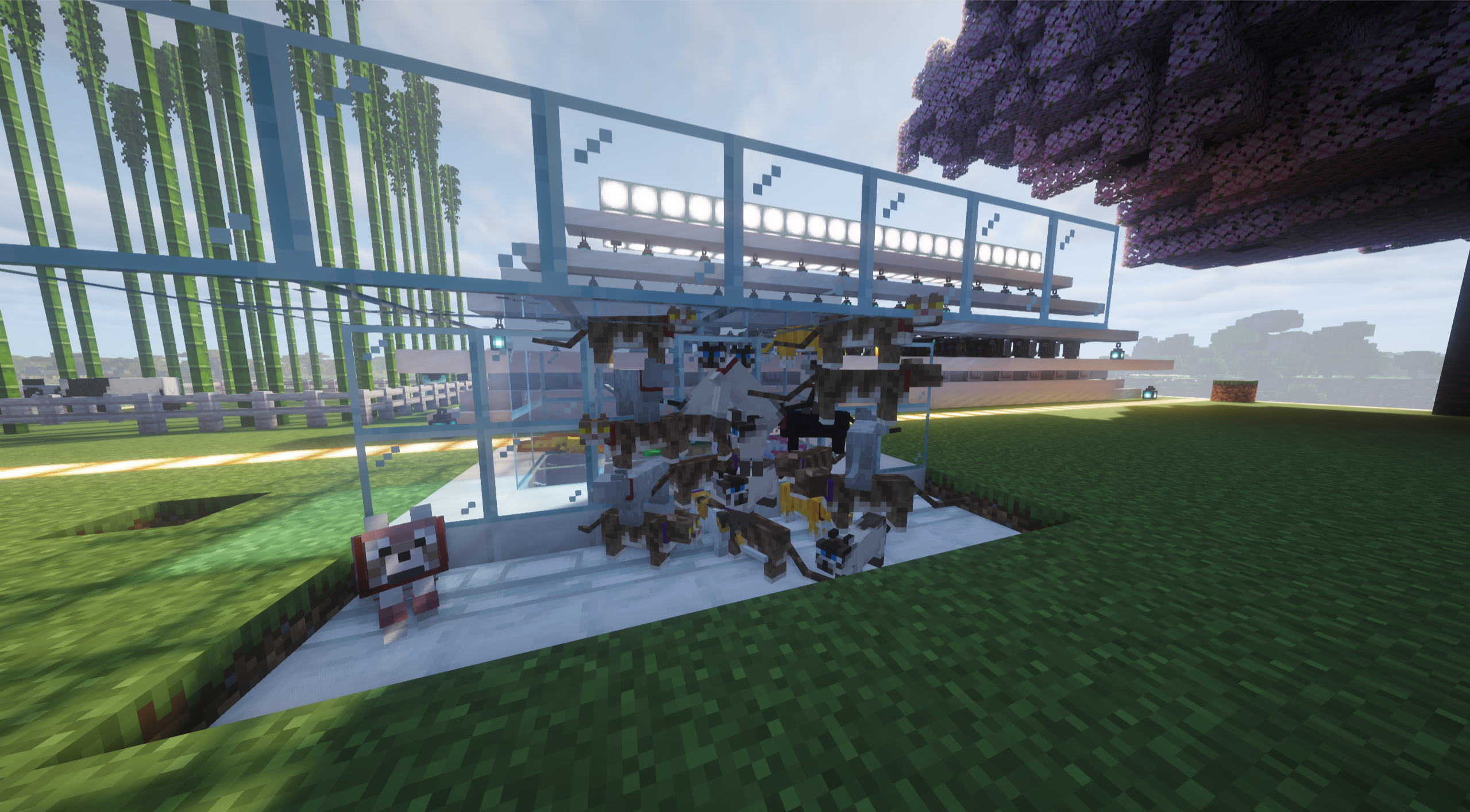Minecraft Cats Enclosed in Glass with a Wolf Outside HD Wallpaper