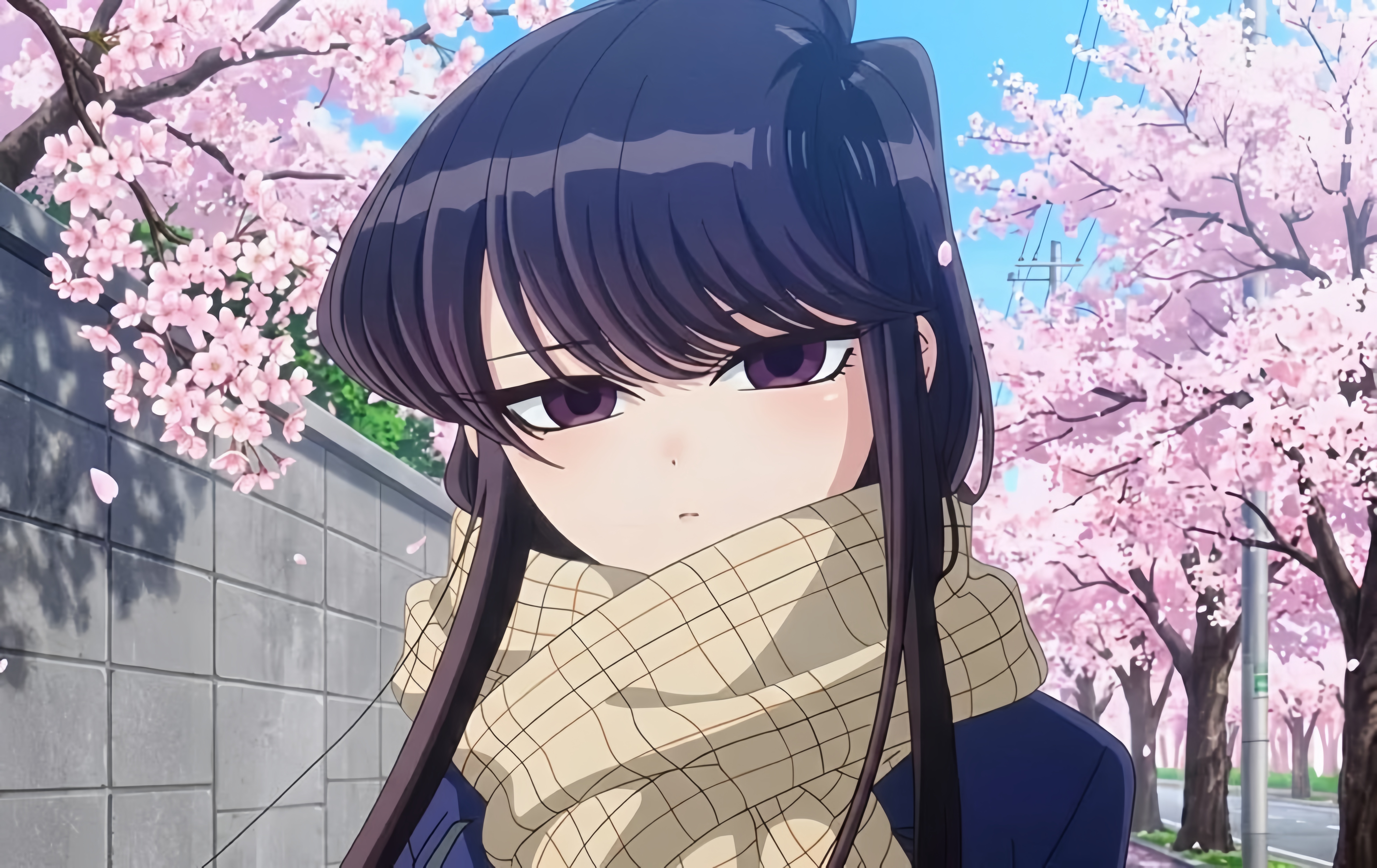 Shouko Komi from Komi Can't Communicate with Cherry Blossoms HD Wallpaper