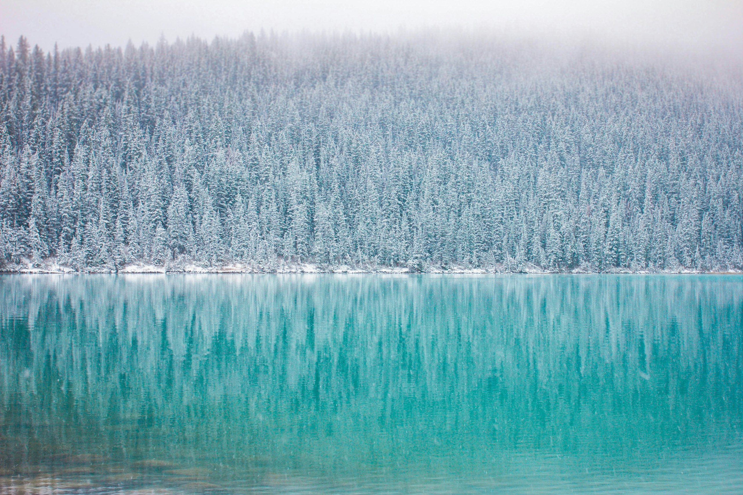 Snowy pine forest reflecting on turquoise lake water HD Wallpaper