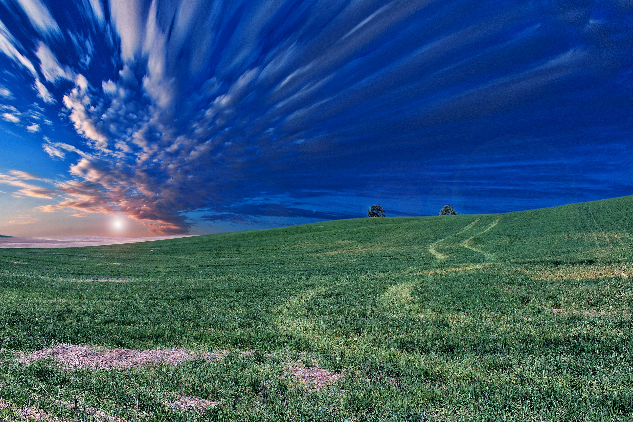 Green field under dramatic blue sky at sunset HD Wallpaper