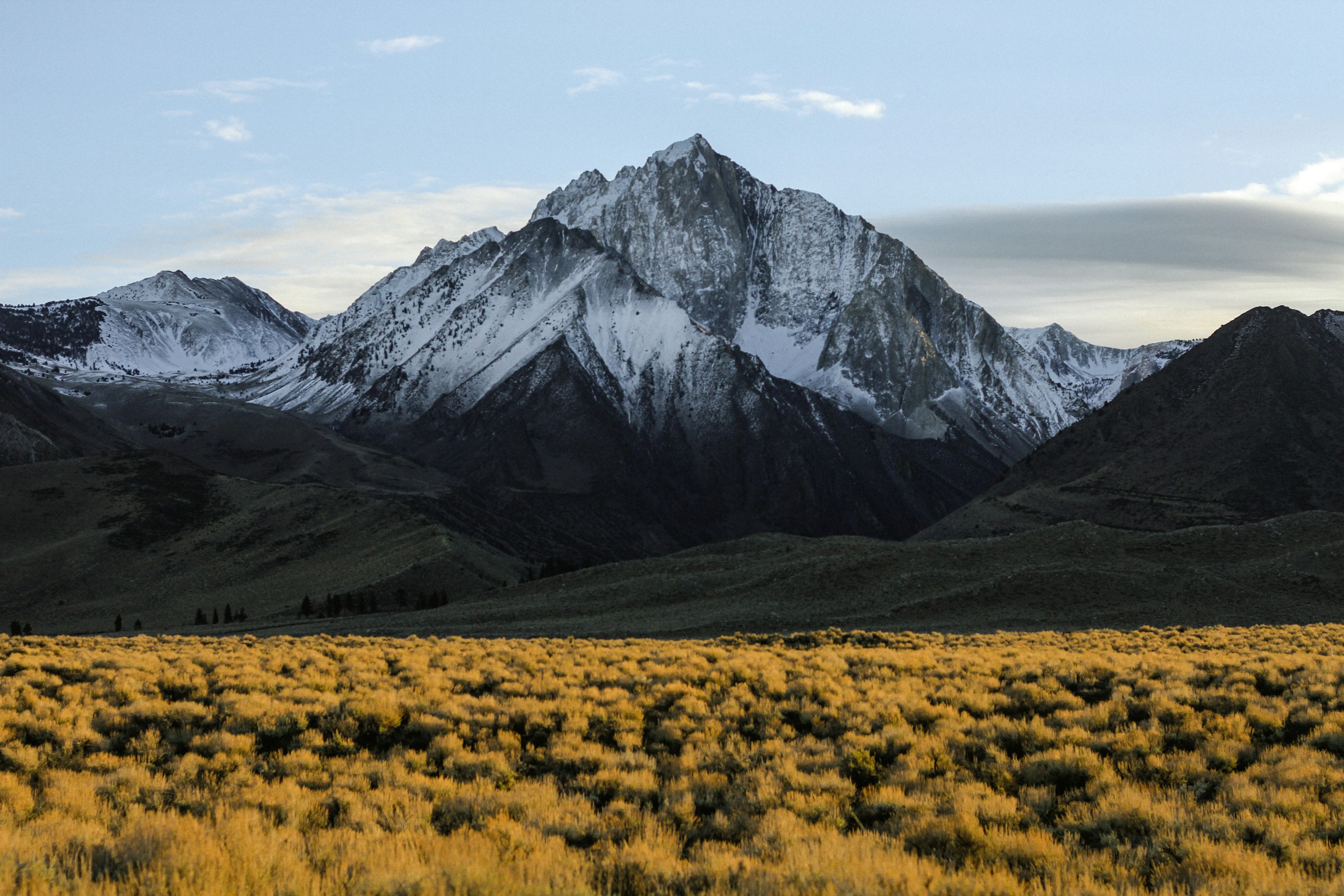 Snow-capped Sierra Nevada mountain peak behind golden fields HD Wallpaper
