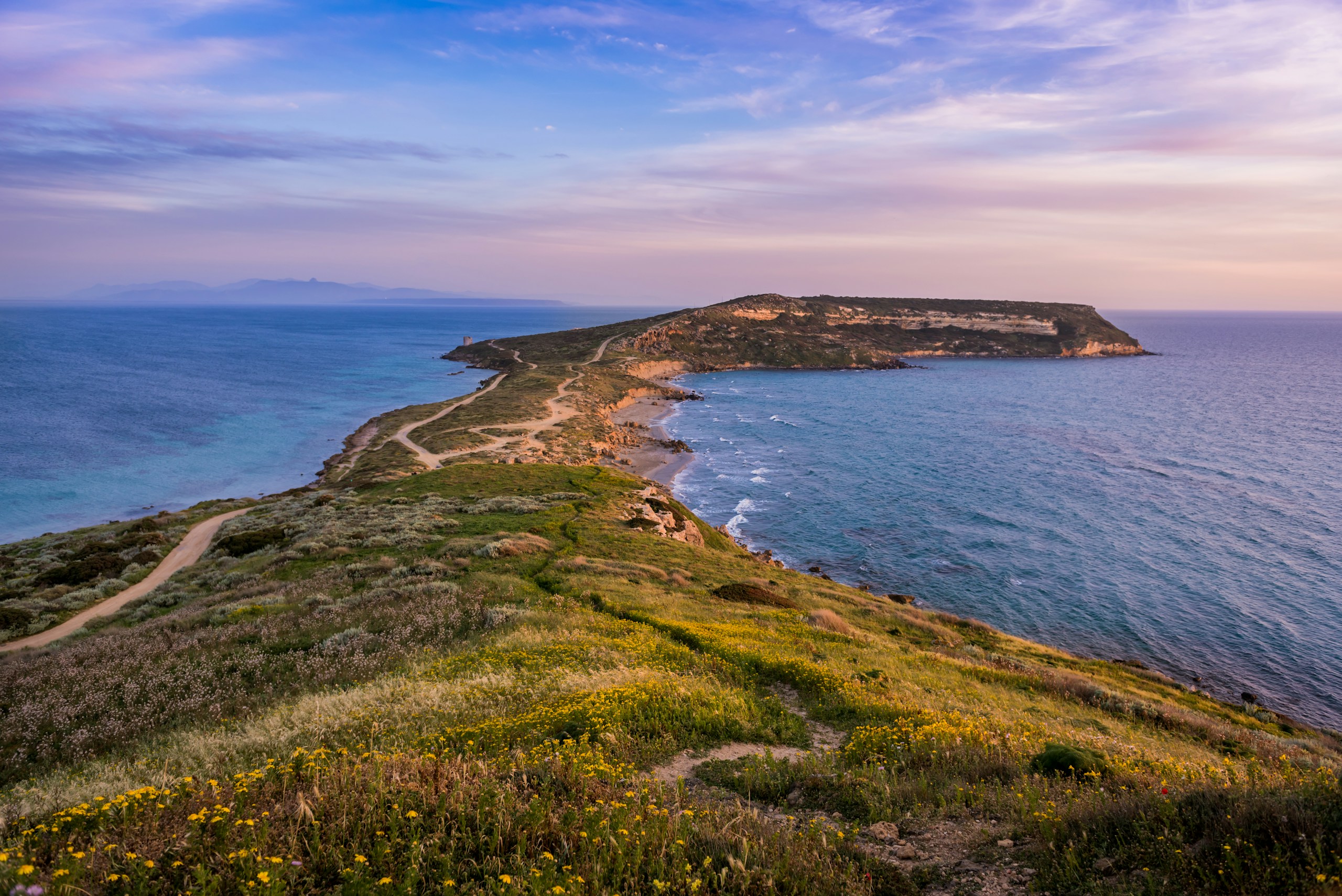 Green Peninsula Stretching Into the Sea at Sunset HD Wallpaper