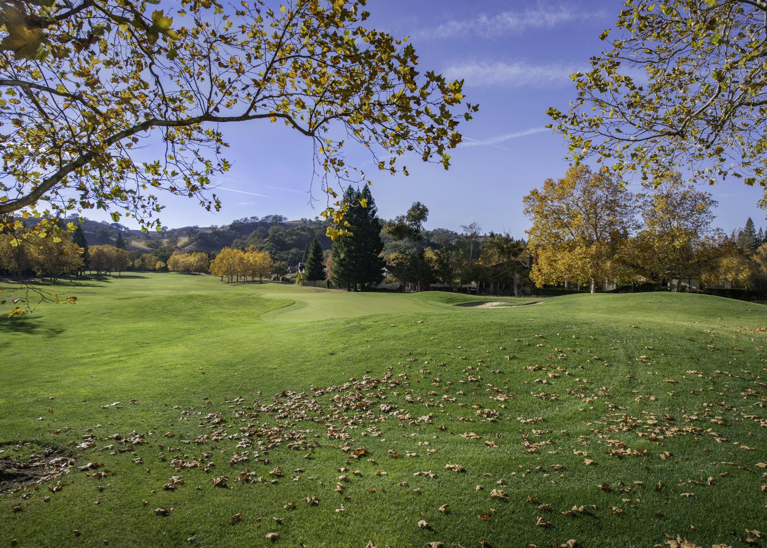 Autumn Leaves on a Green Golf Course HD Wallpaper