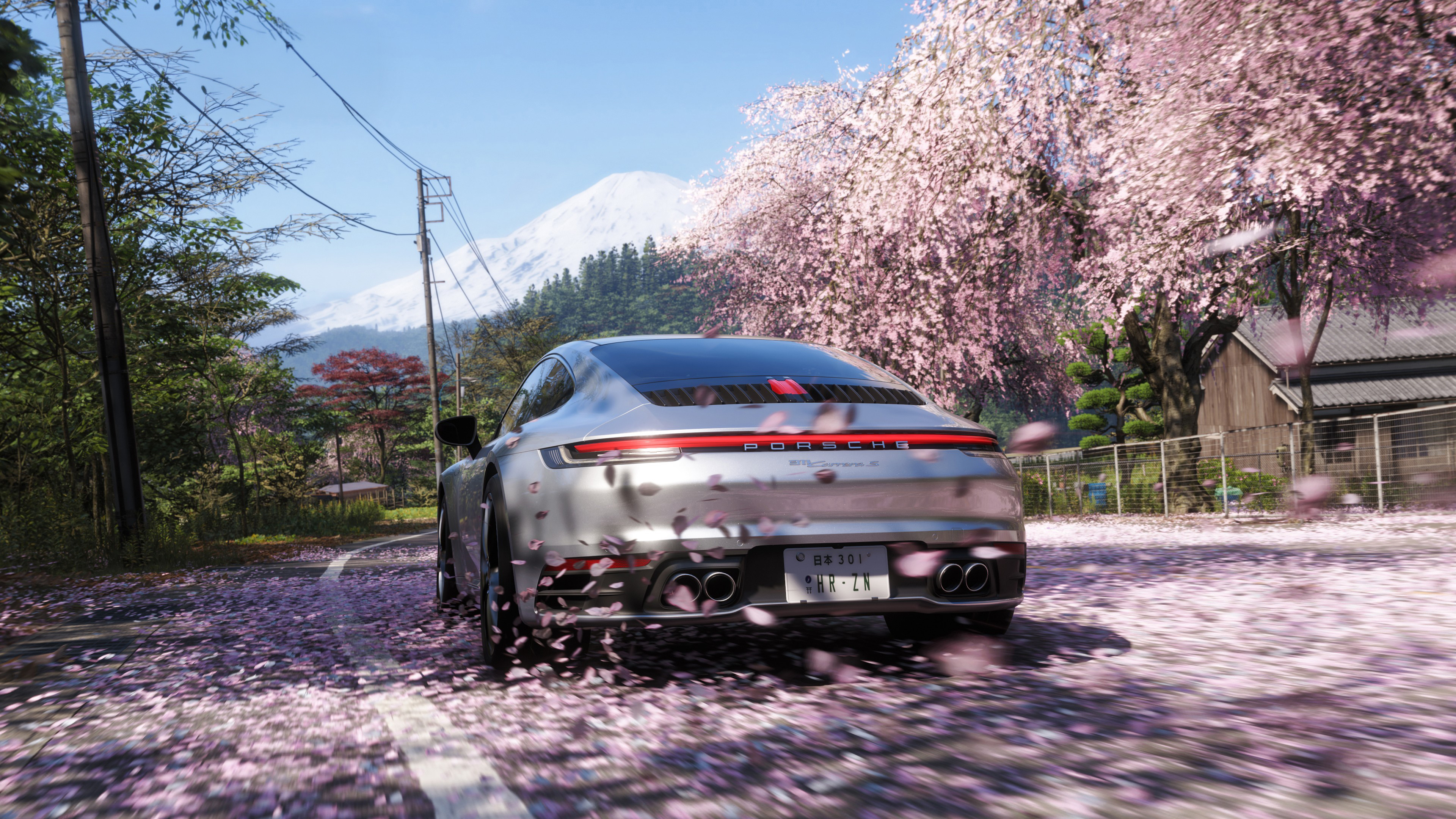 Silver Porsche 911 Driving Under Cherry Blossoms HD Wallpaper