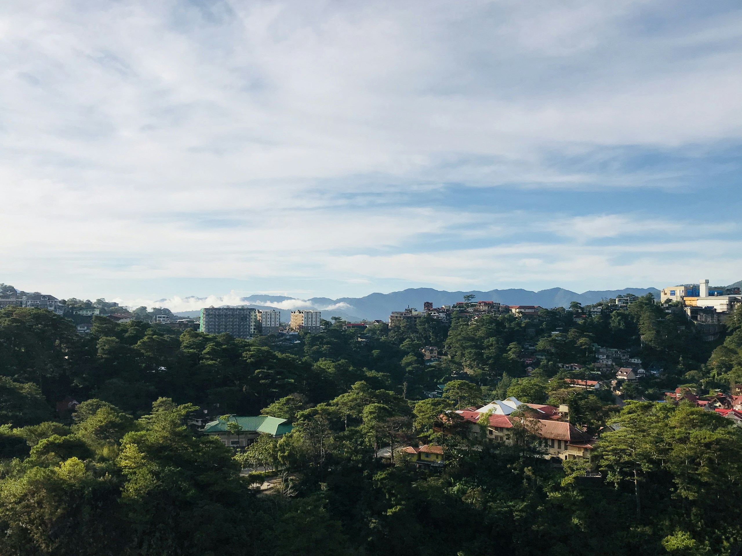 Hillside city nestled in lush green pine forest HD Wallpaper