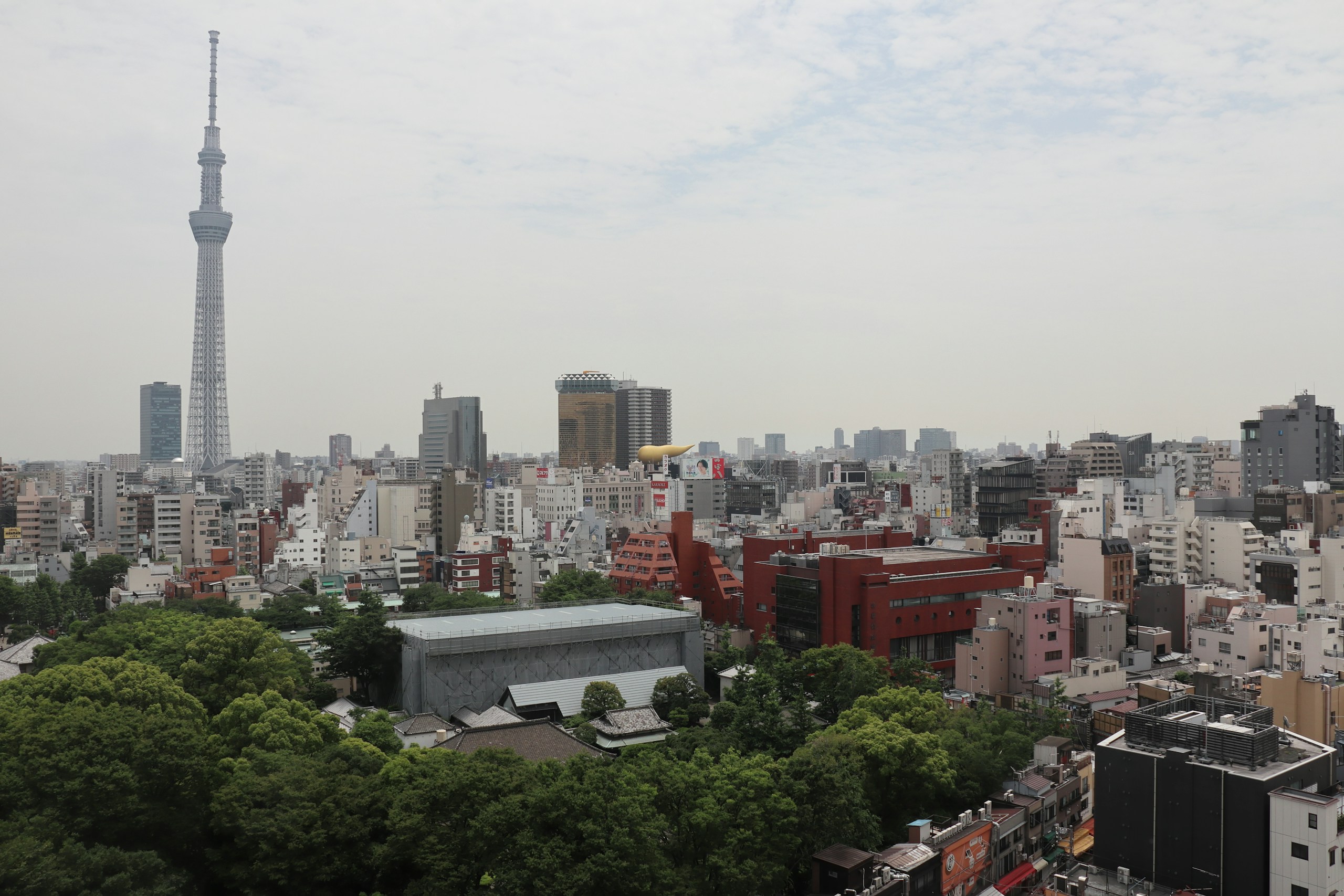 Tokyo Skytree and Cityscape with Greenery HD Wallpaper