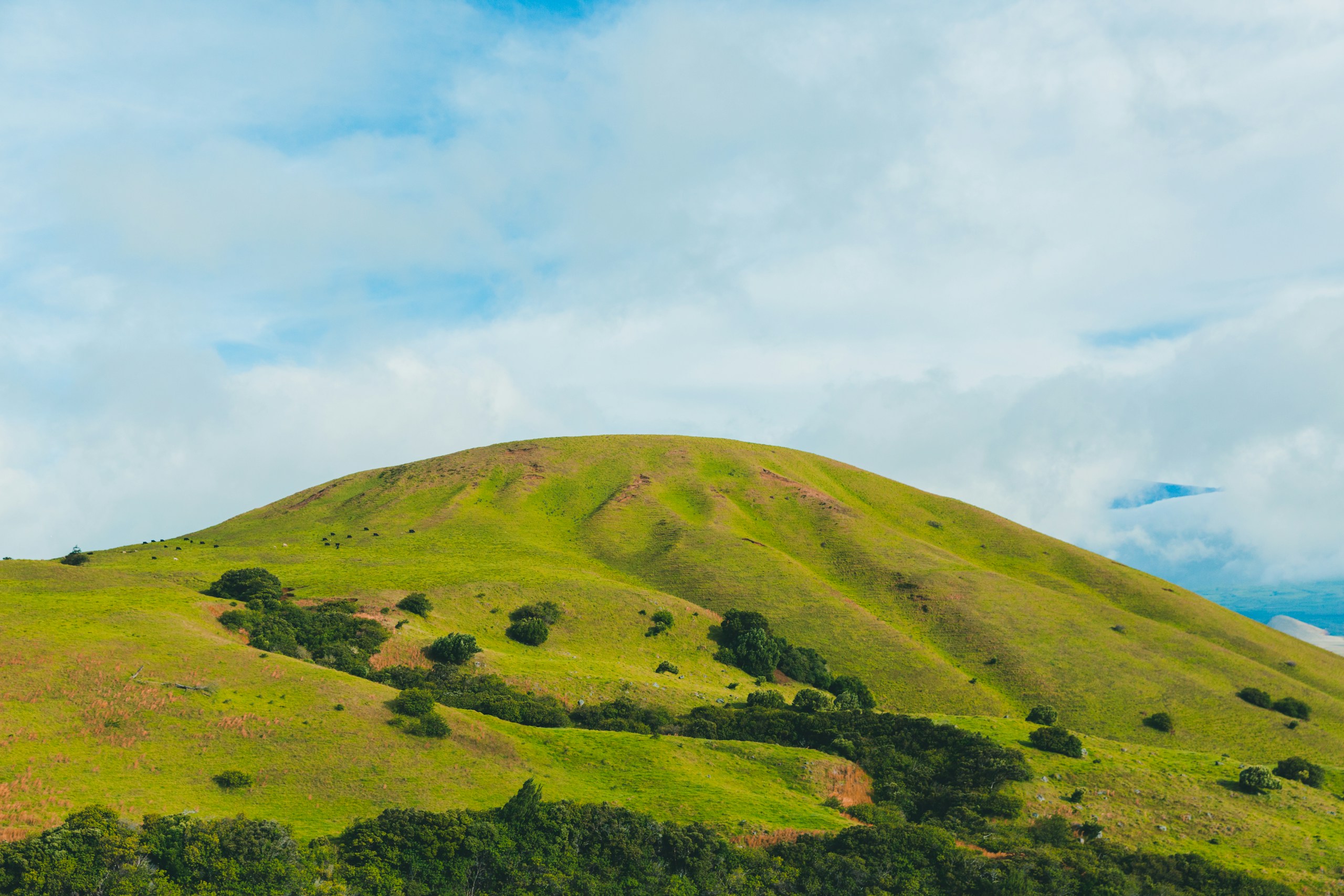 Lush green grassy hill under a cloudy blue sky HD Wallpaper