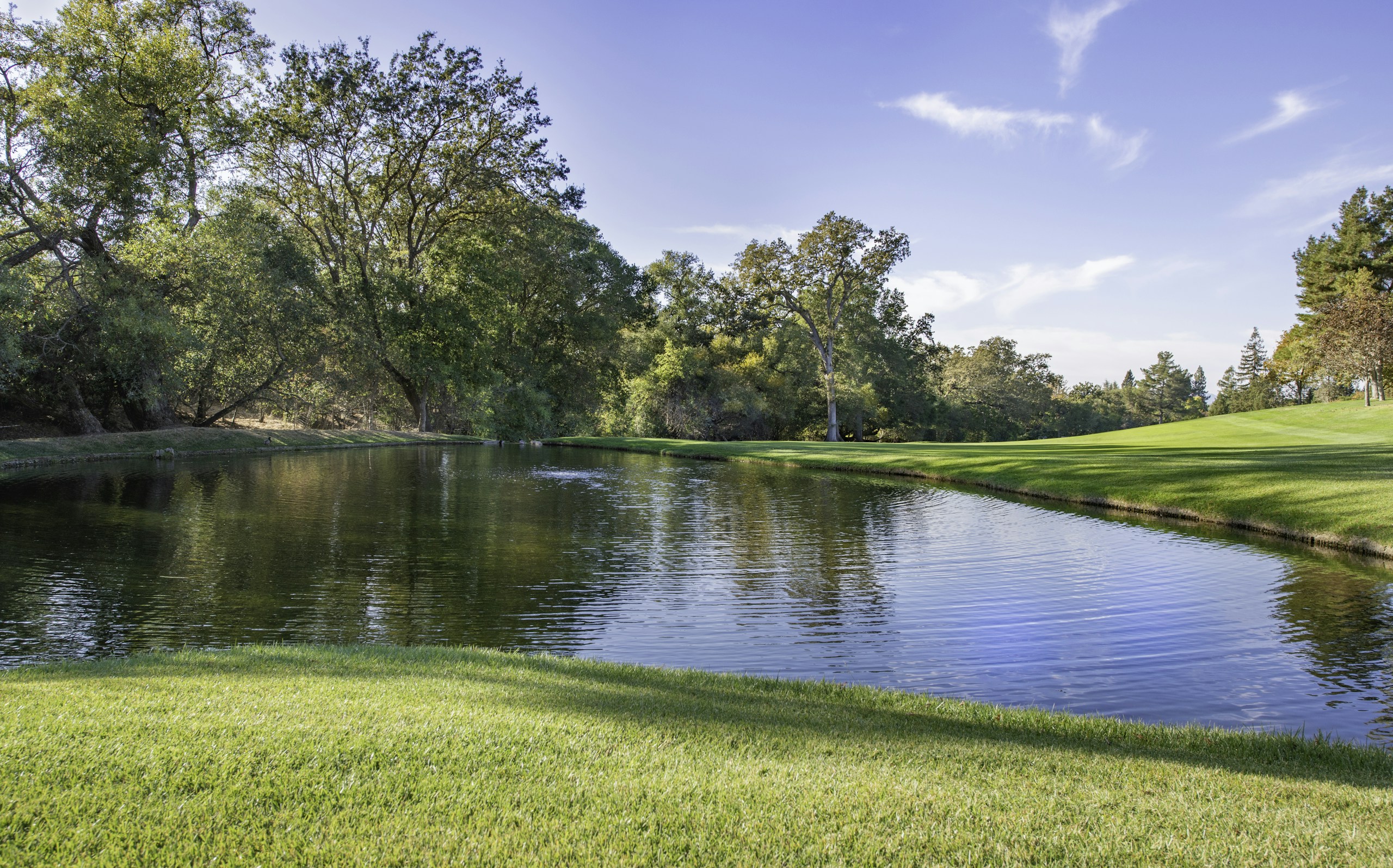 Scenic Golf Course Pond Surrounded by Green Grass and Trees HD Wallpaper