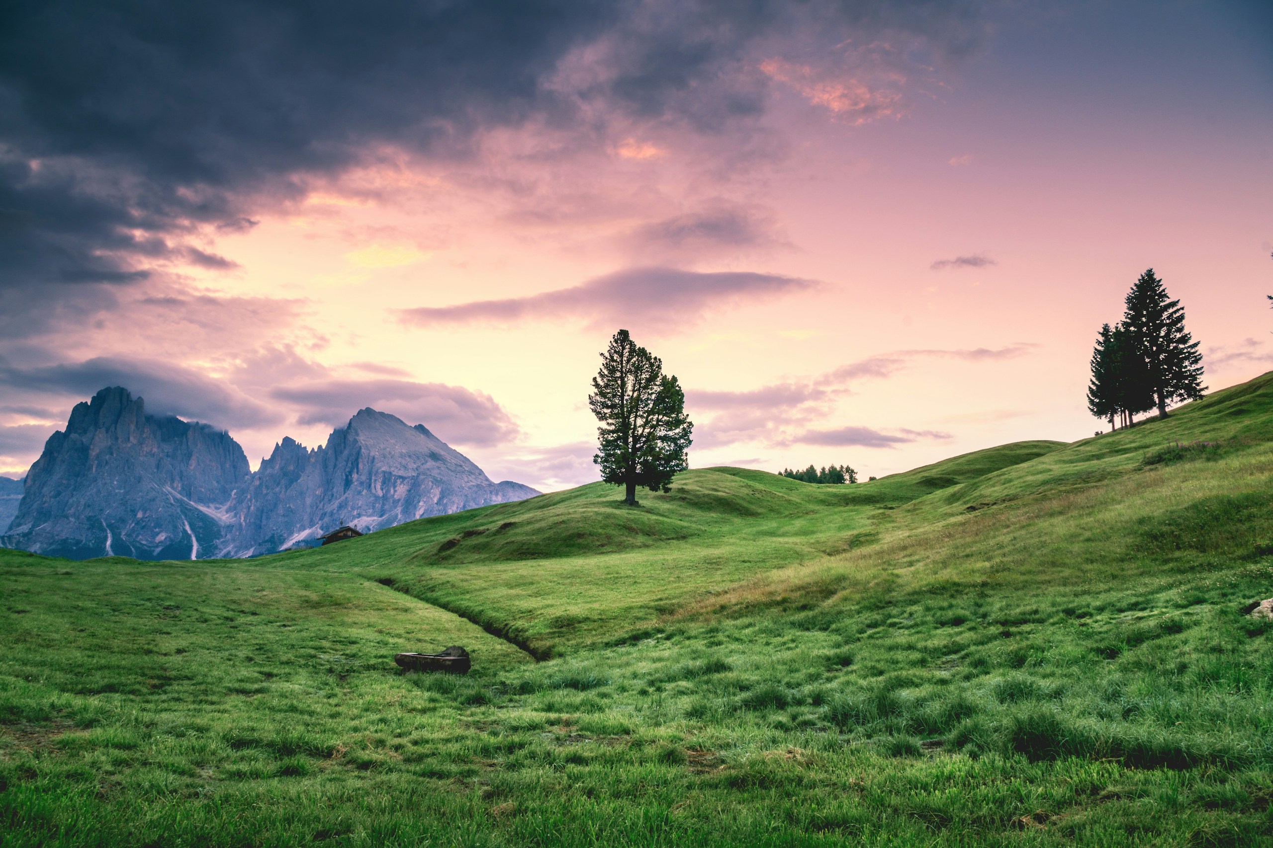 Lone tree on green hills with mountains at sunset HD Wallpaper