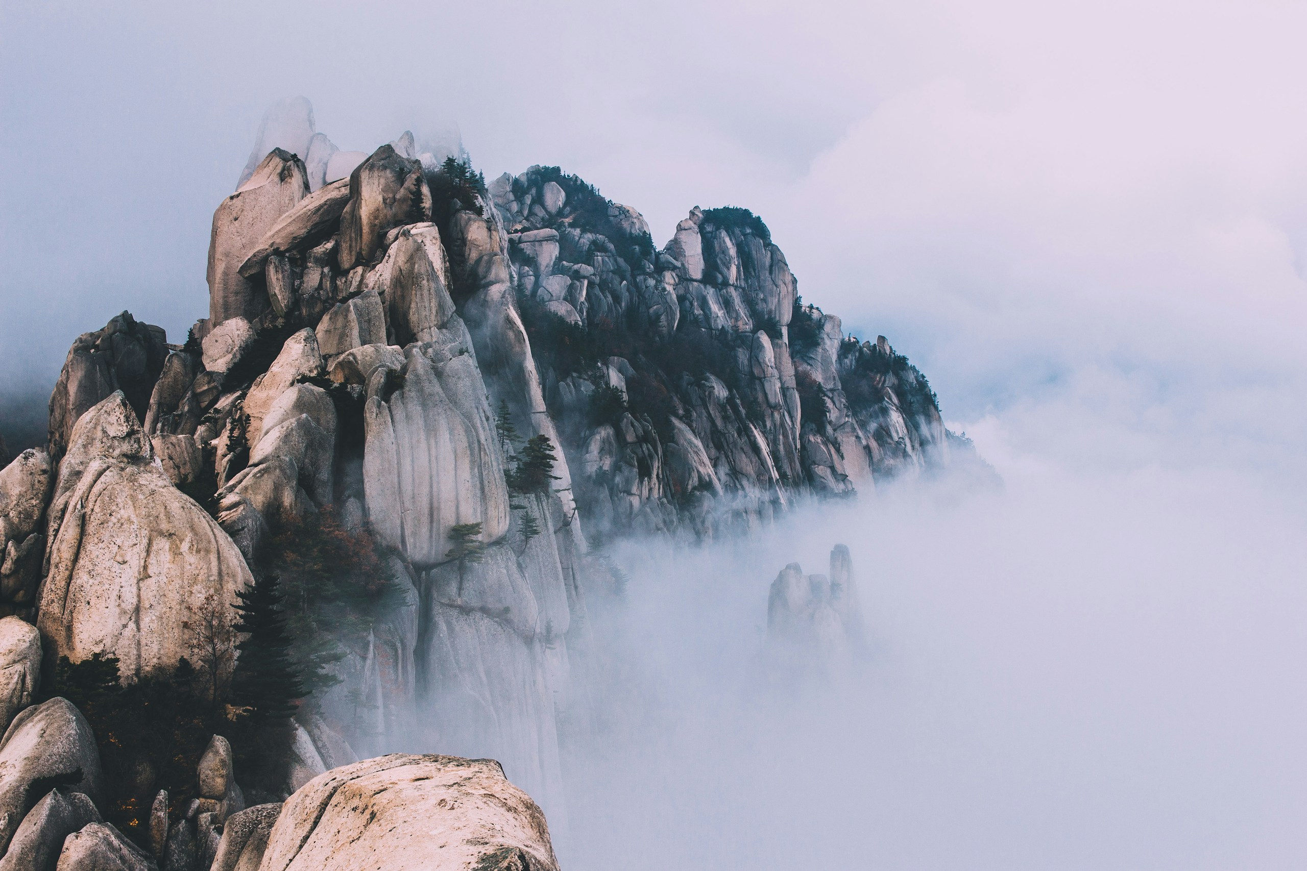 Rocky mountain peaks rising above thick fog HD Wallpaper