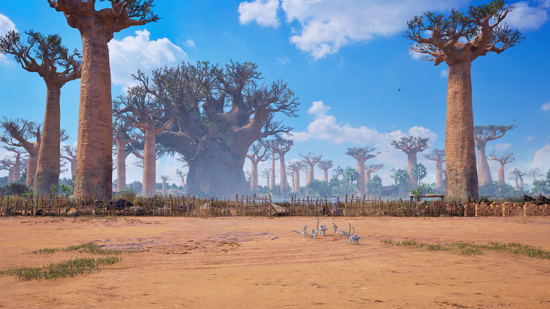 Madagascar Landscape with Baobab Trees in Uncharted 4 HD Wallpaper