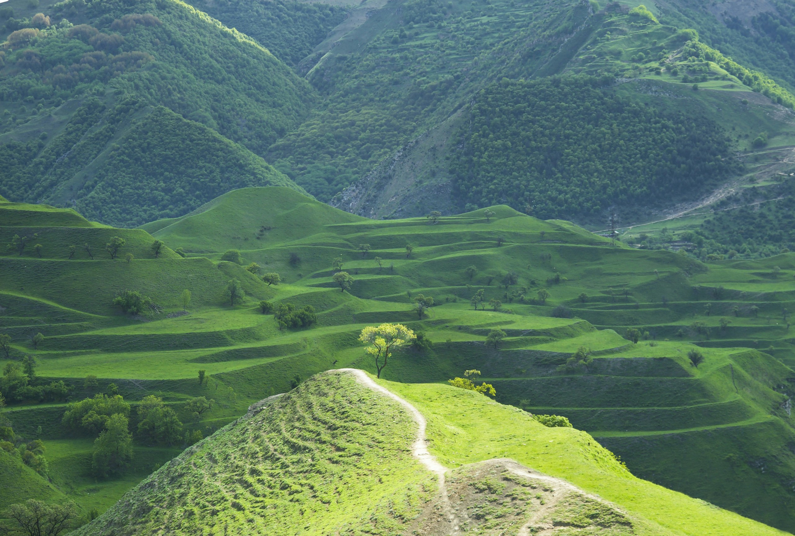 Lush Green Terraced Hills and Mountain Valley HD Wallpaper