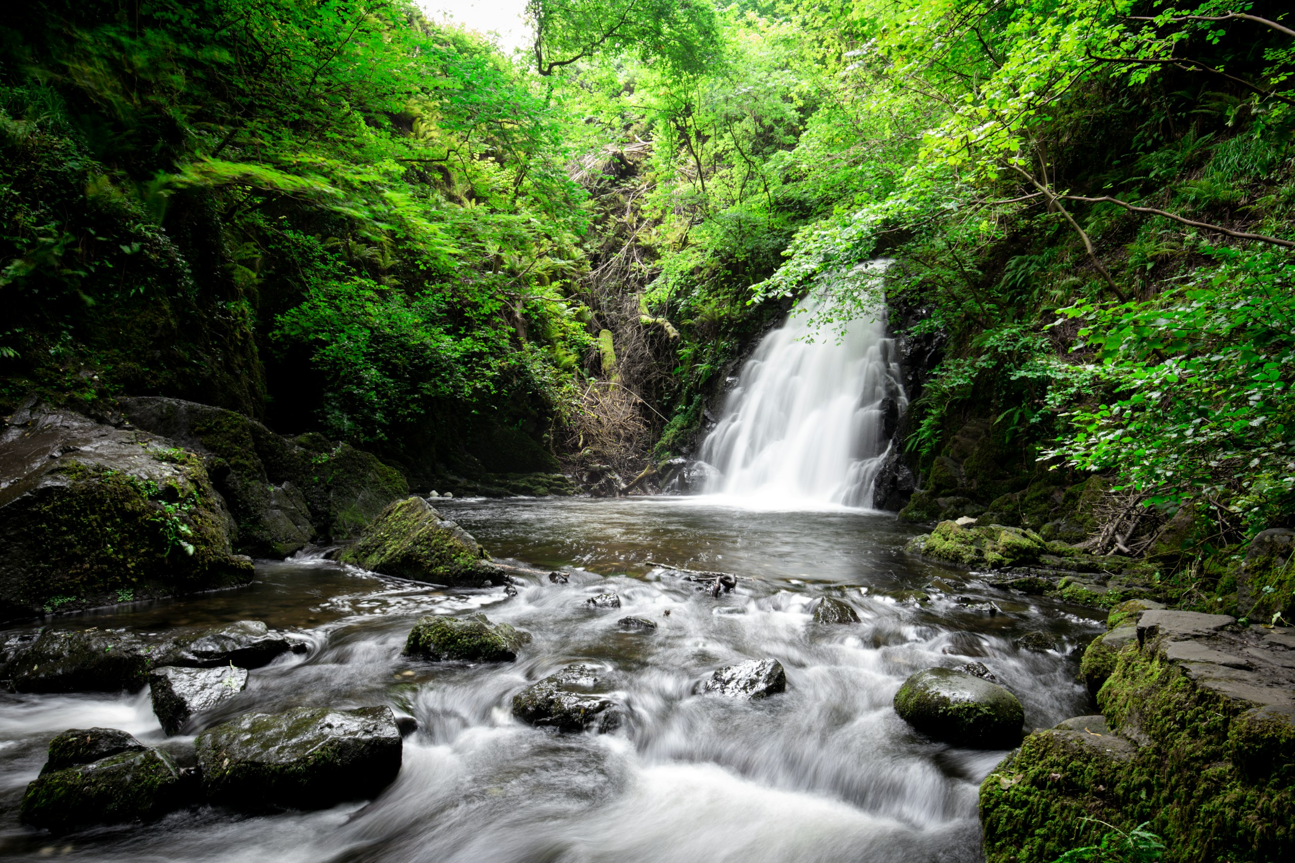 Glenoe Waterfall in a Lush Green Forest HD Wallpaper