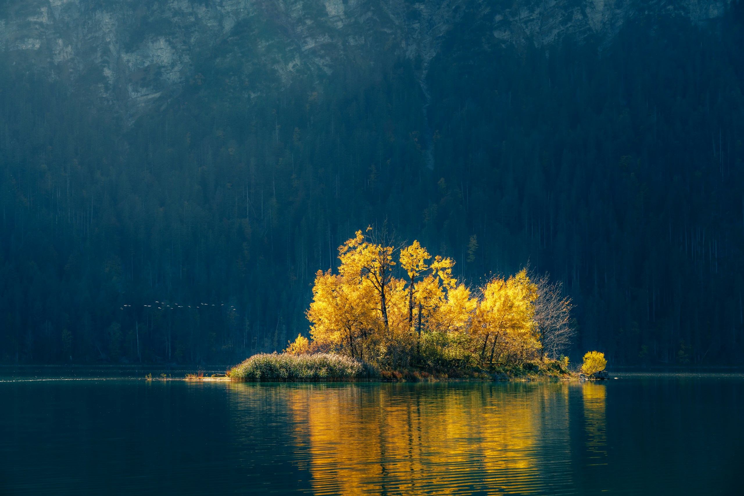Small island with golden autumn trees in a lake HD Wallpaper