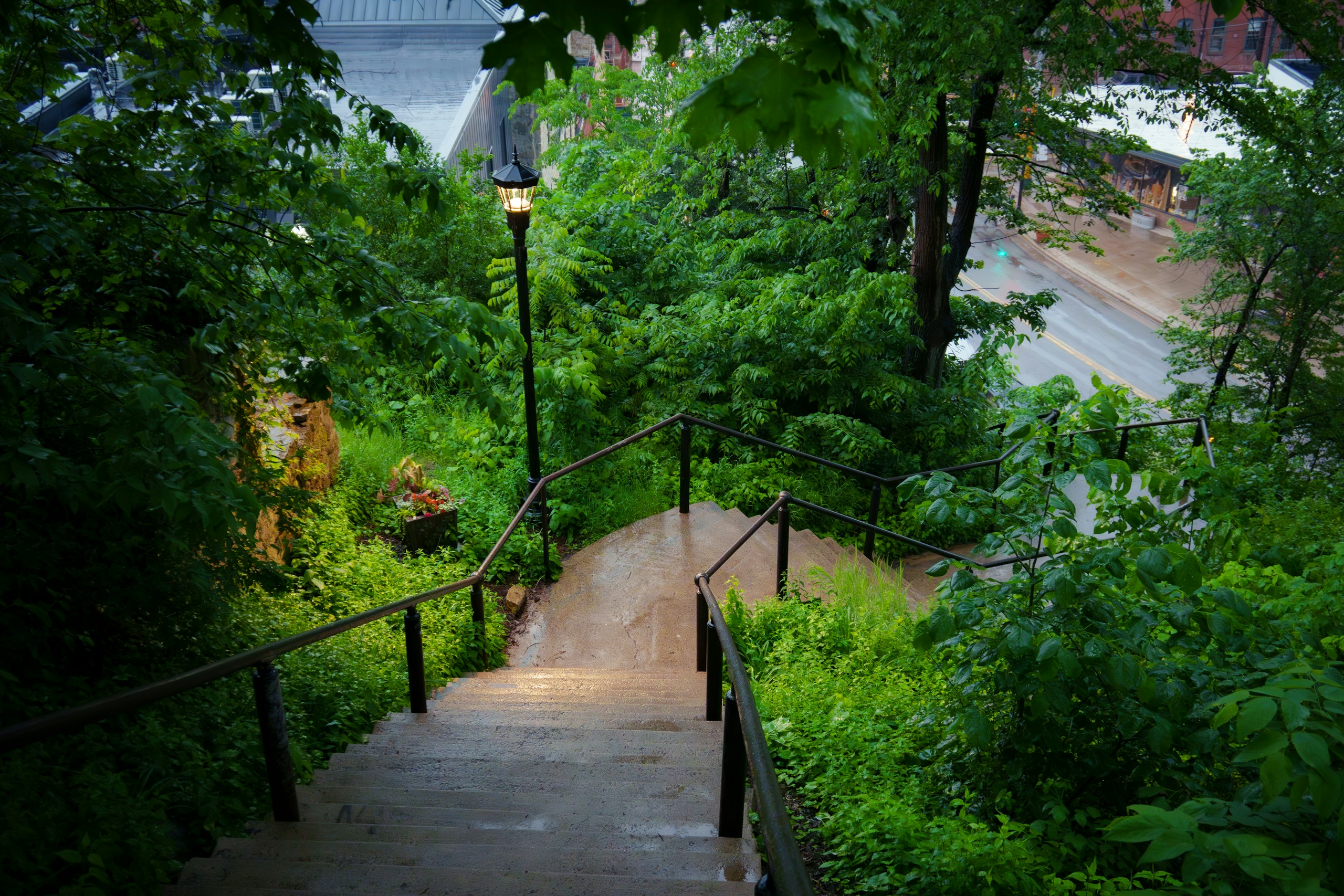 Lush Rainy Staircase in Stillwater HD Wallpaper
