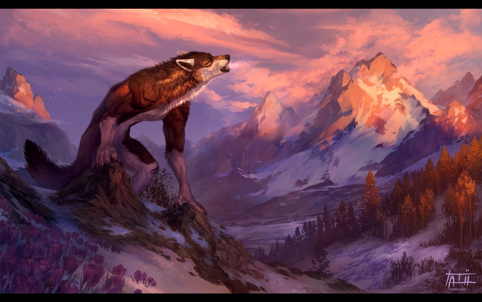 Werewolf howling on a snowy mountain peak at sunset HD Wallpaper
