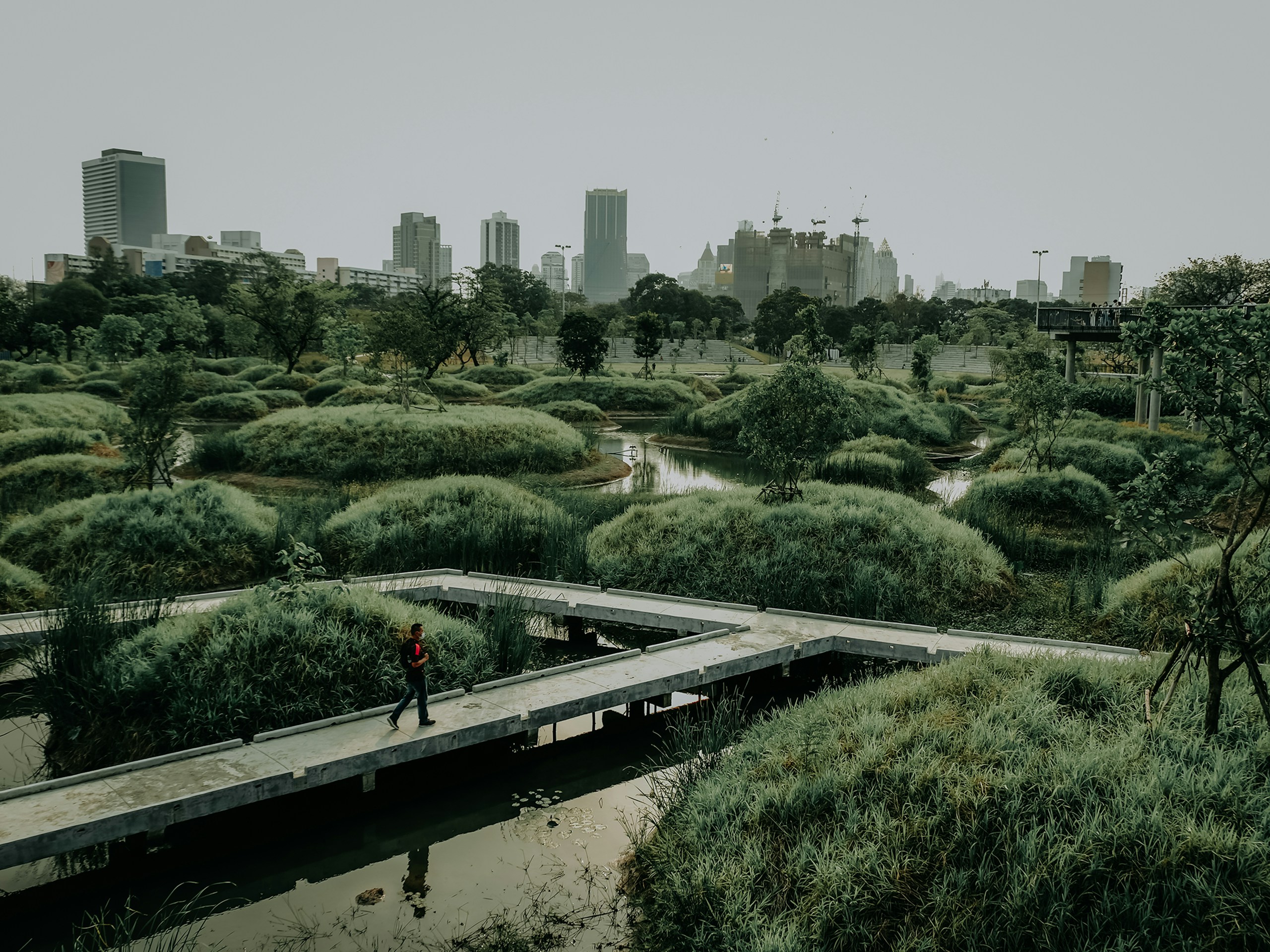 Man walking on concrete path in urban wetland park HD Wallpaper