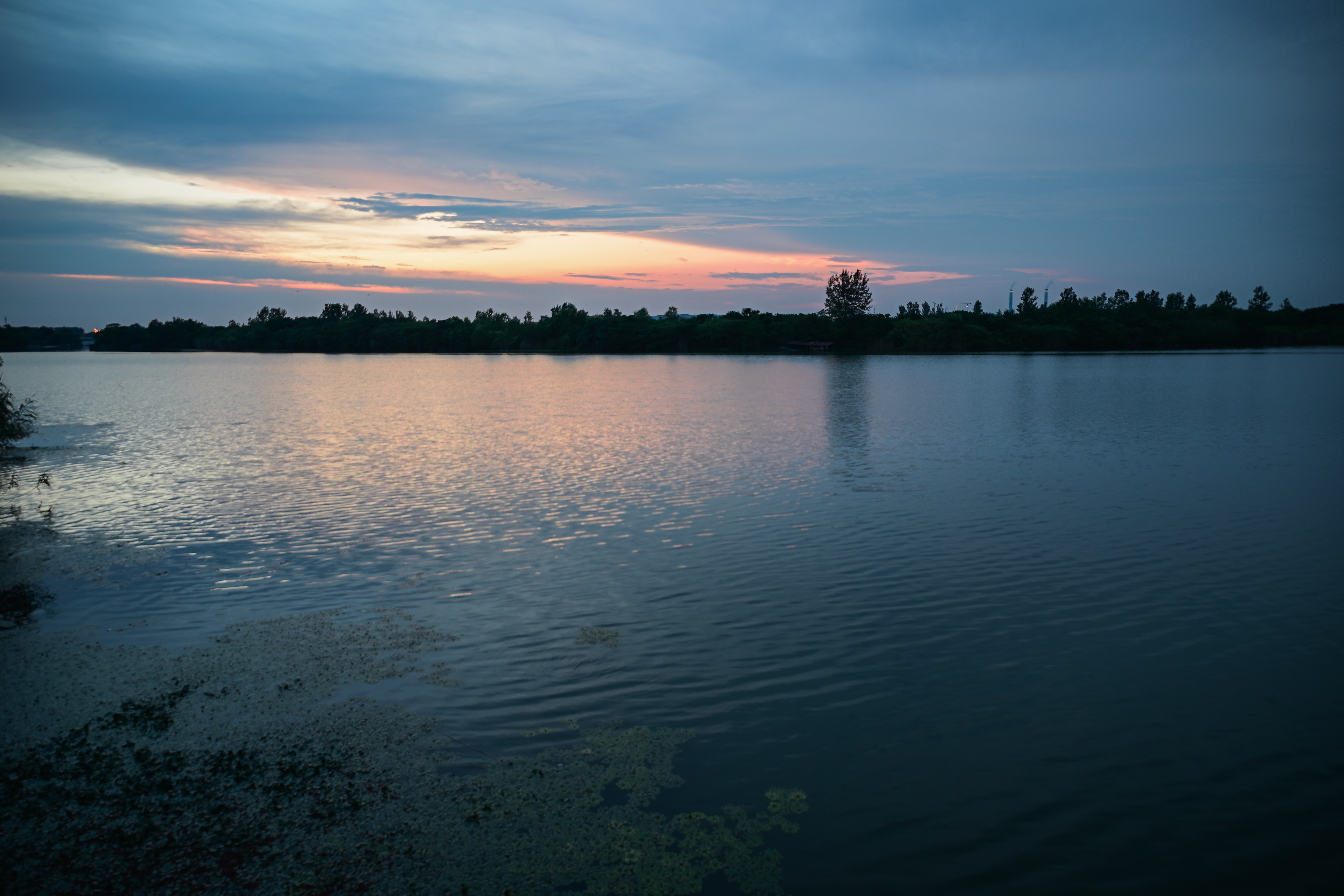 Calm Lake at Sunset with Tree Line HD Wallpaper