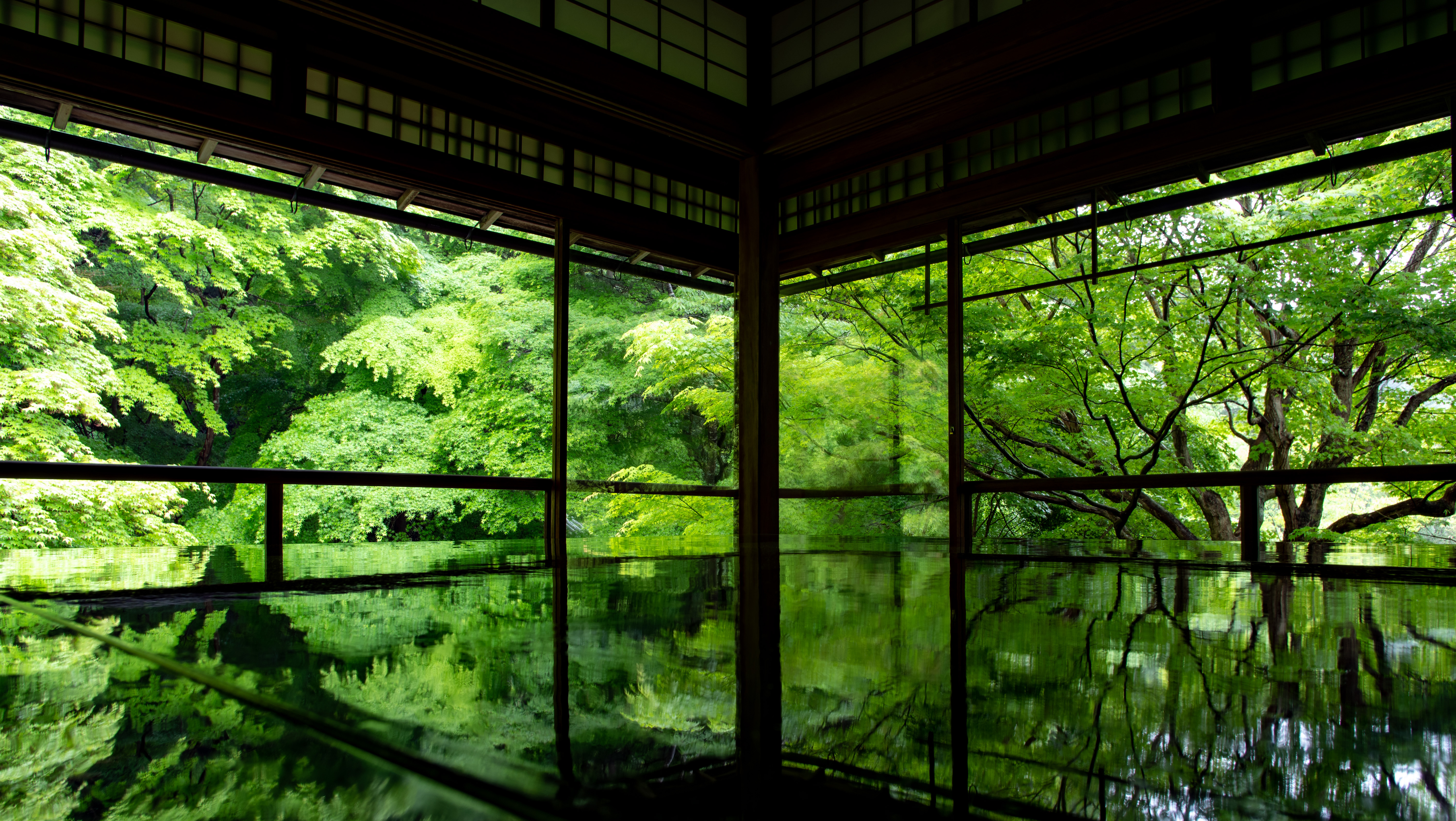 Reflections of green maple leaves at Ruriko-in Temple HD Wallpaper